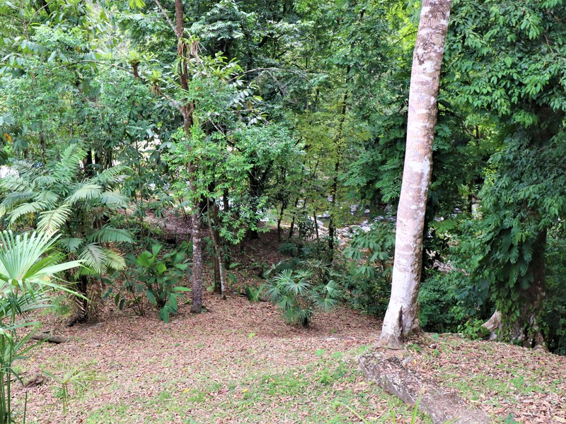 2 bed Single Family Homes For Sale in Ojochal, Puntarenas - photo 22