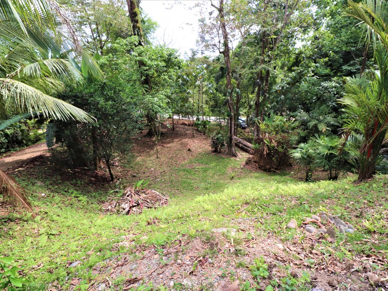 2 bed Single Family Homes For Sale in Ojochal, Puntarenas - photo 21