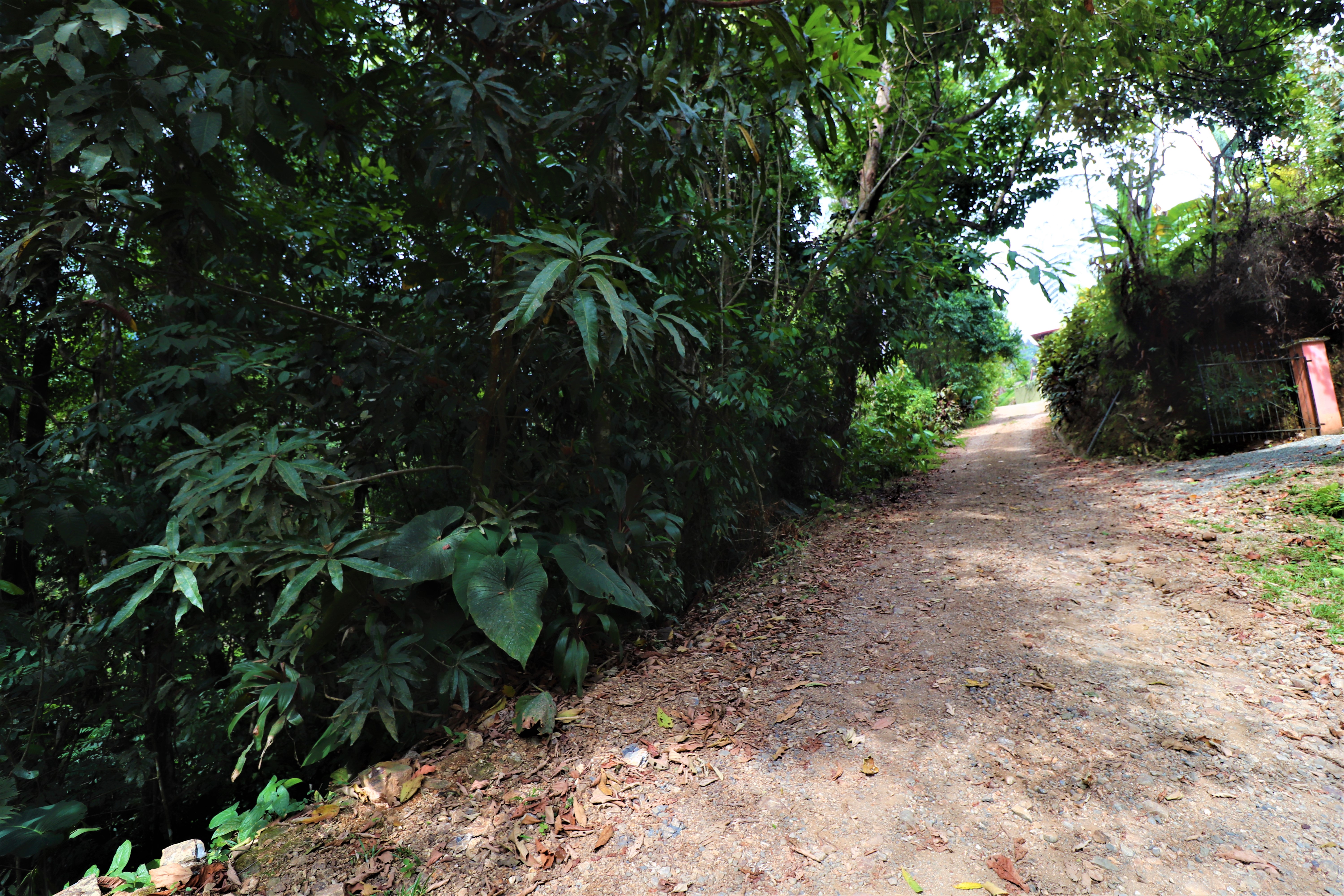 2 bed Single Family Homes For Sale in Ojochal, Puntarenas - thumb 20