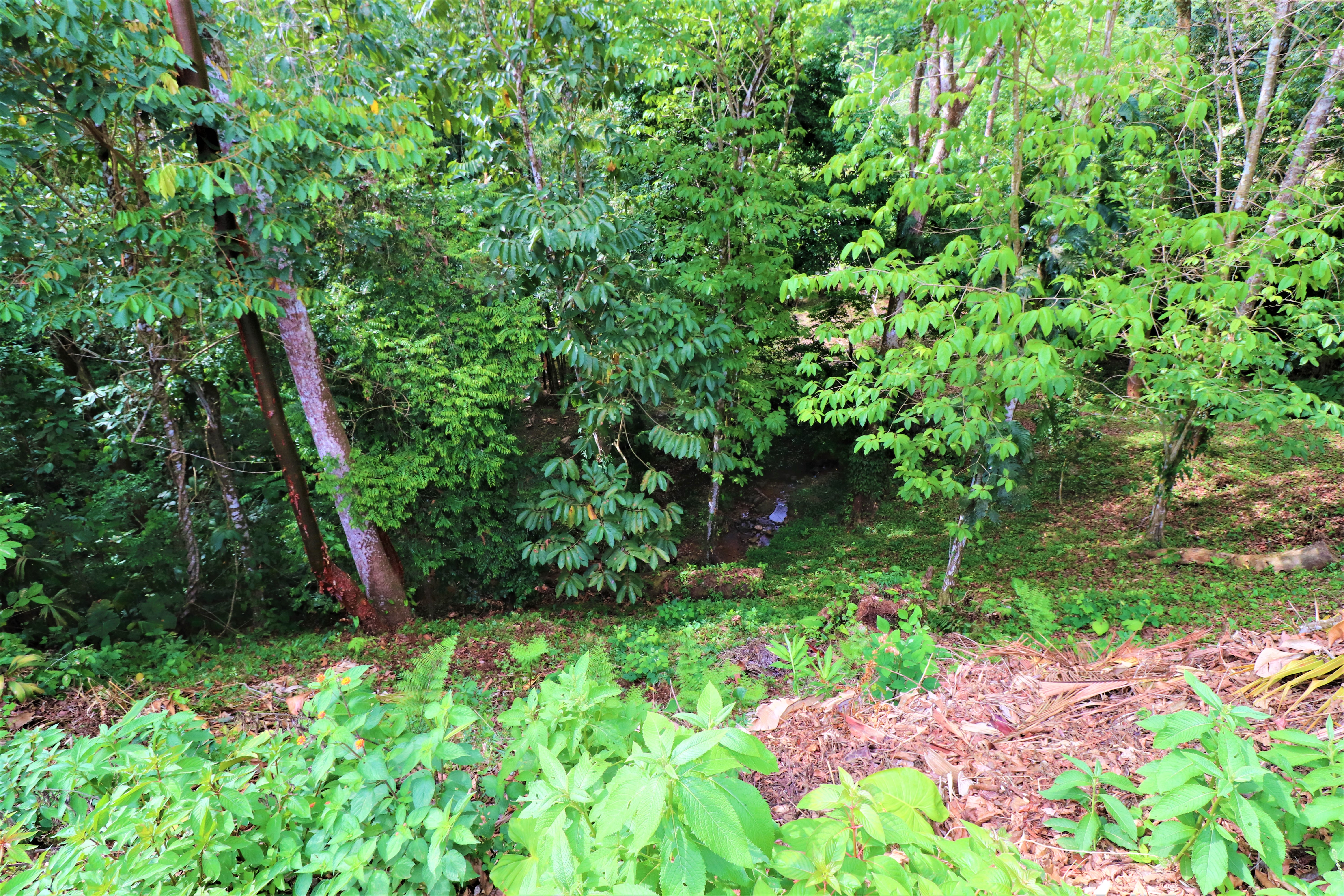 2 bed Single Family Homes For Sale in Ojochal, Puntarenas - thumb 28