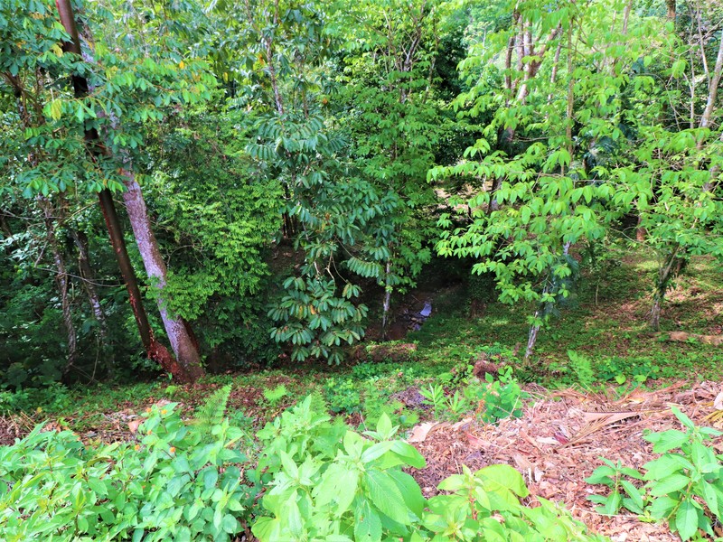 2 bed Single Family Homes For Sale in Ojochal, Puntarenas - photo 28