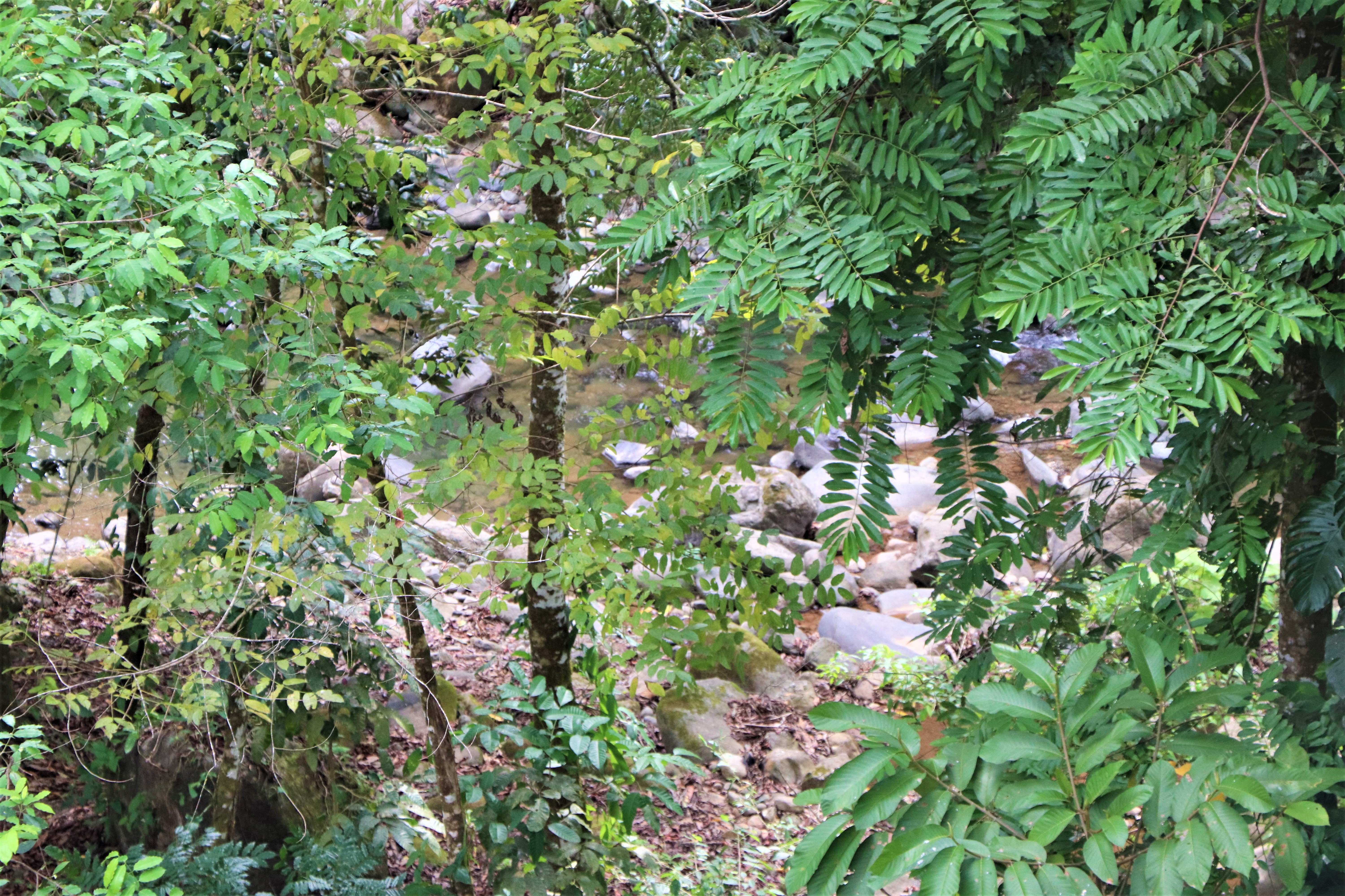 2 bed Single Family Homes For Sale in Ojochal, Puntarenas - thumb 25