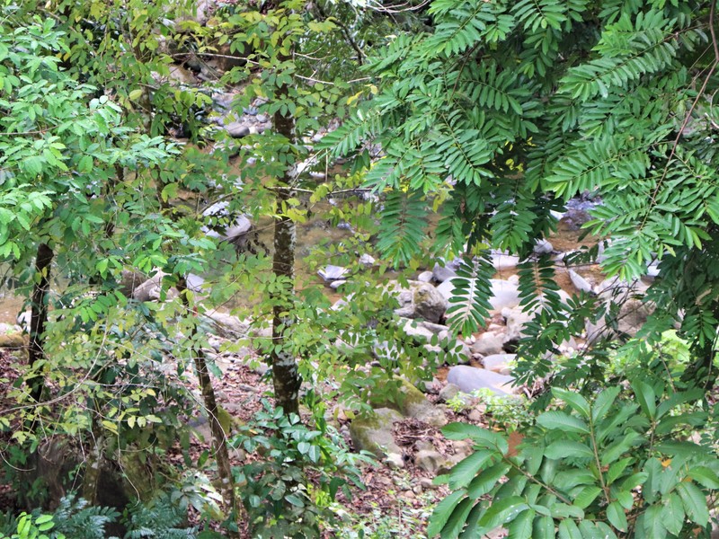 2 bed Single Family Homes For Sale in Ojochal, Puntarenas - photo 25