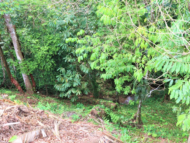 2 bed Single Family Homes For Sale in Ojochal, Puntarenas - photo 29