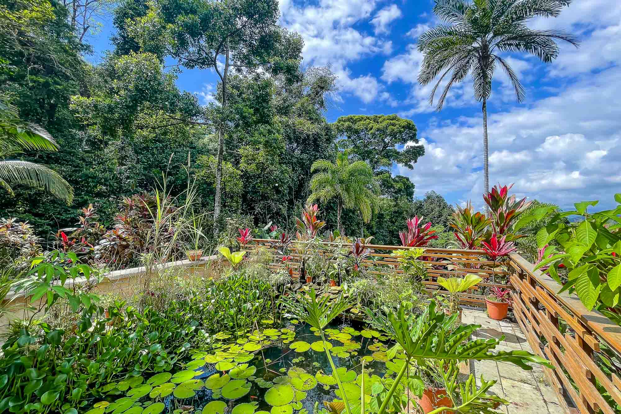 5 bed Single Family Homes For Sale in Tinamastes, San Jose - thumb 24