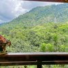  - Off-Grid, Luxury, Organic in Tinamaste, Diamante Valley, San Salvador