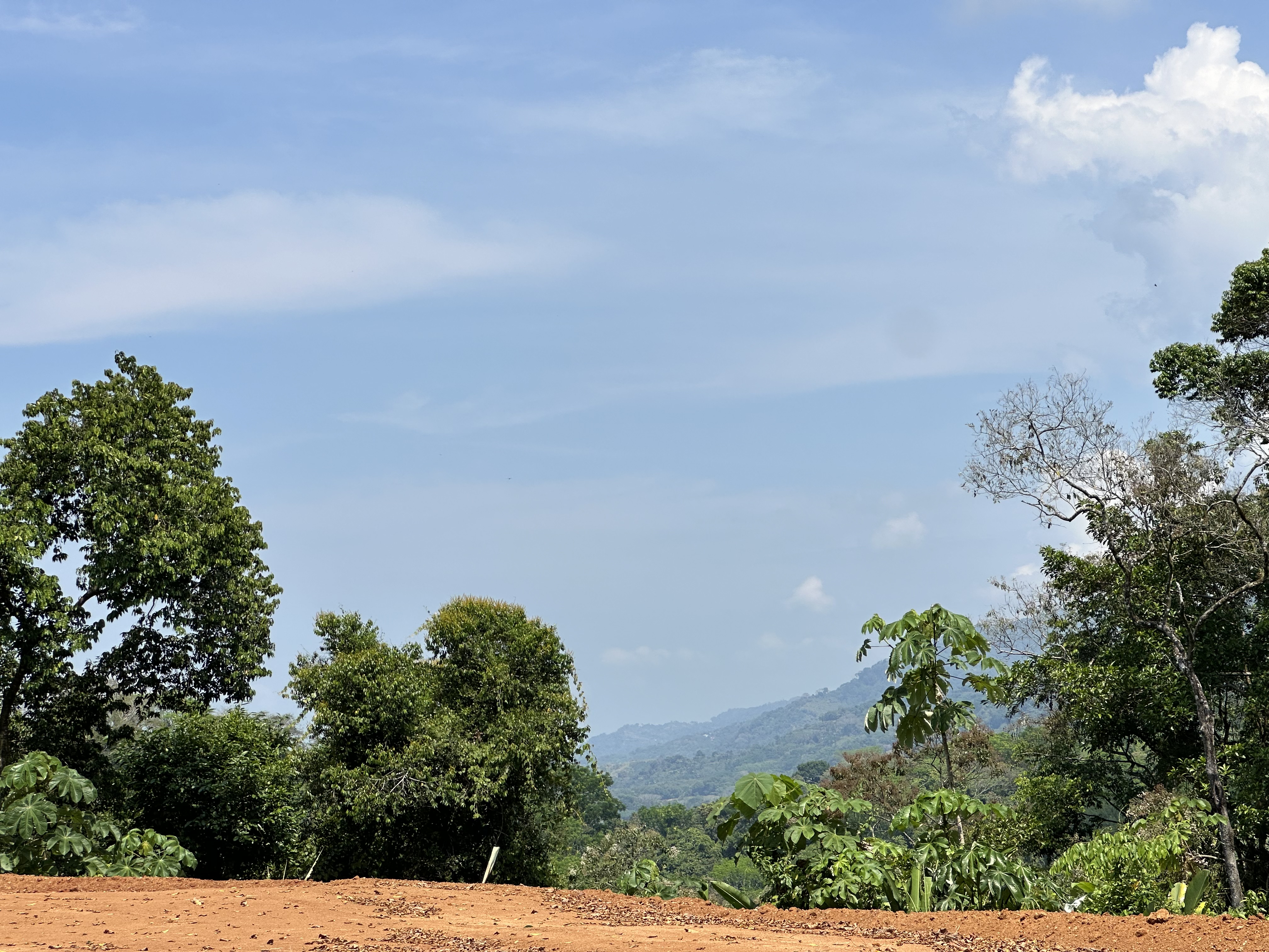 0 bed Land For Sale in Dominical, Puntarenas - thumb 24