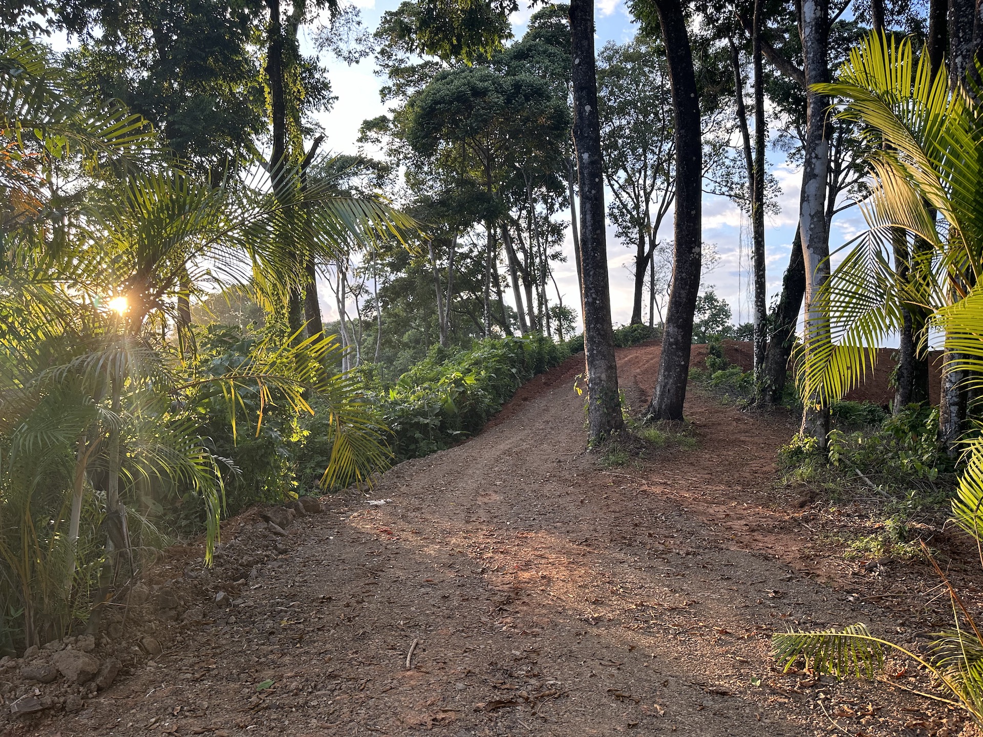 0 bed Land For Sale in Dominical, Puntarenas - thumb 26