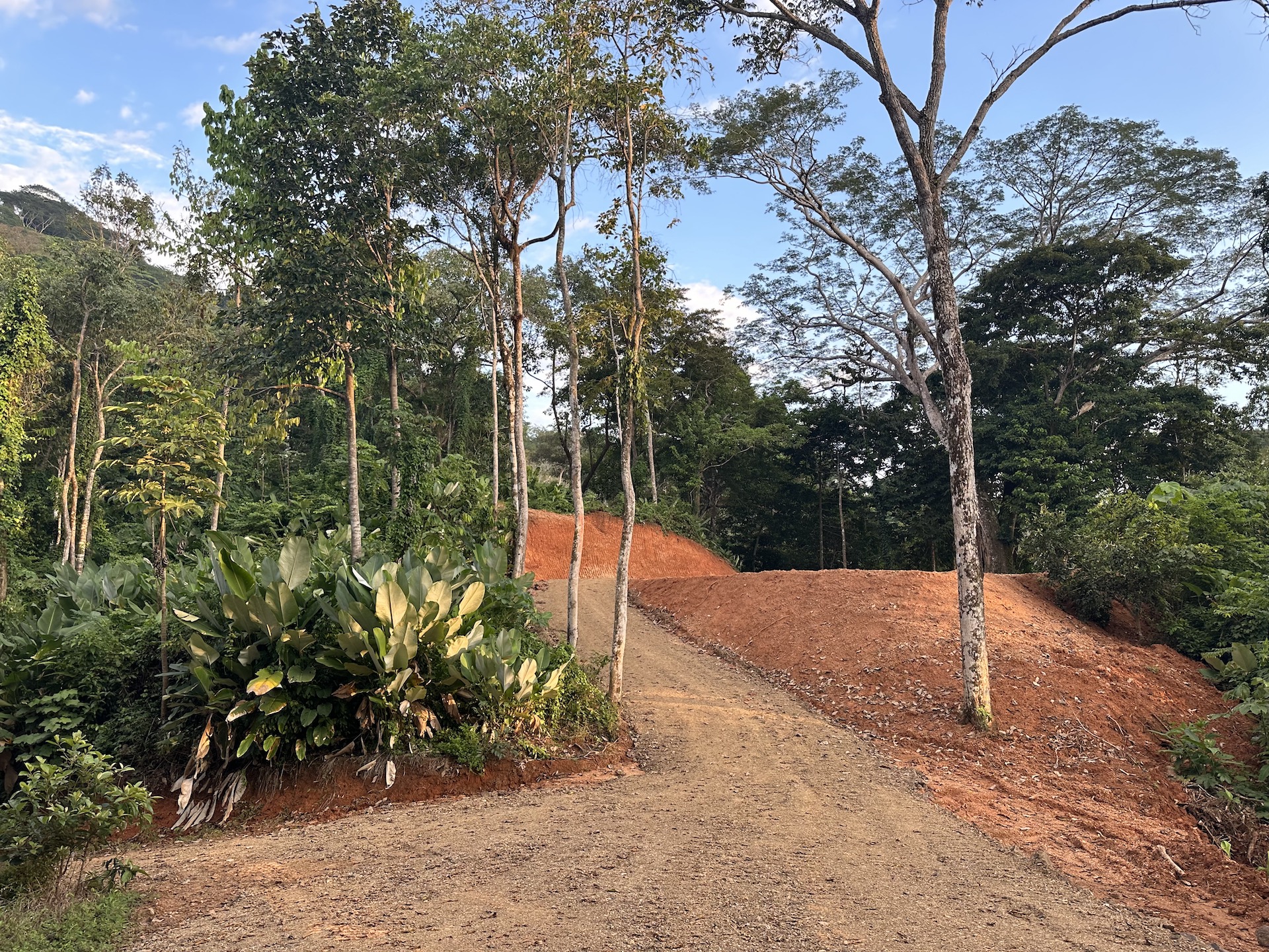 0 bed Land For Sale in Dominical, Puntarenas - thumb 20