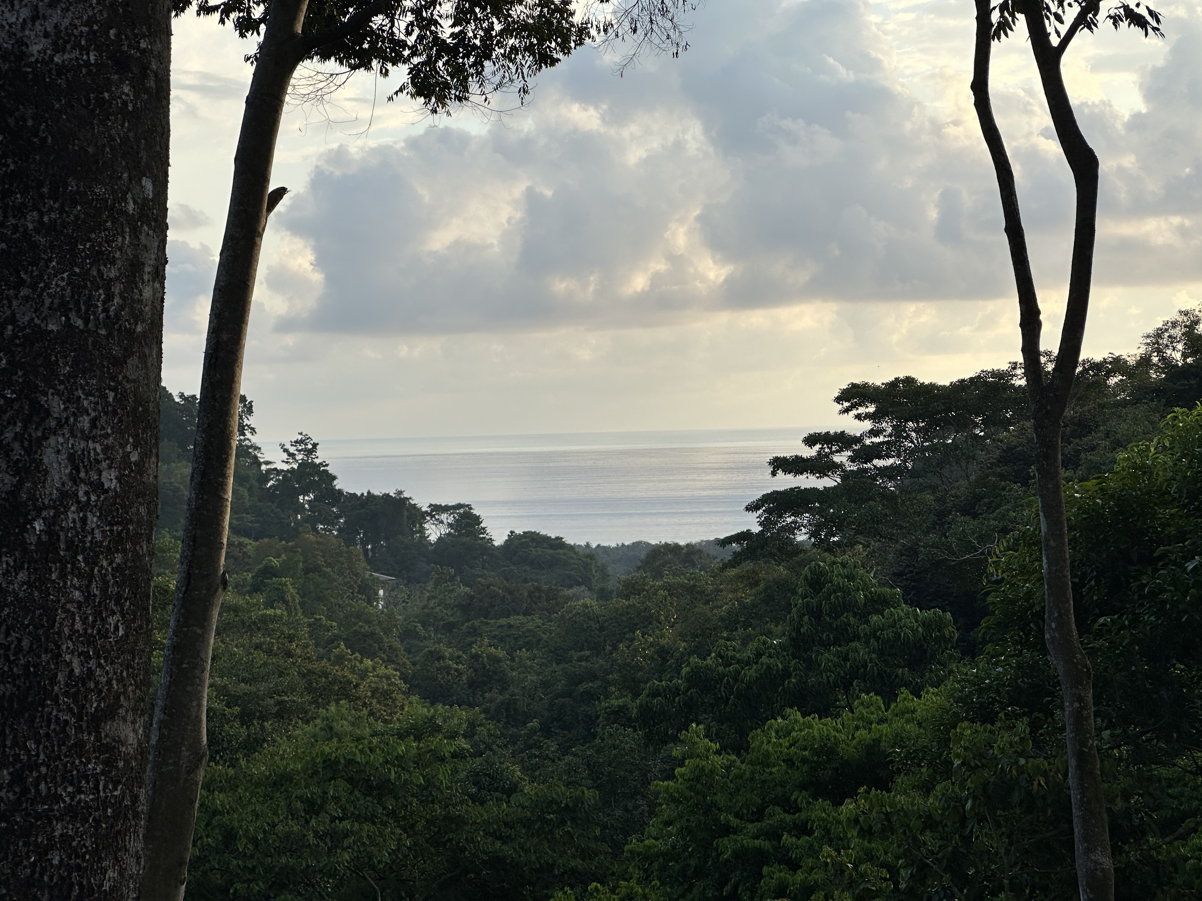 0 bed Land For Sale in Dominical, Puntarenas - thumb 4