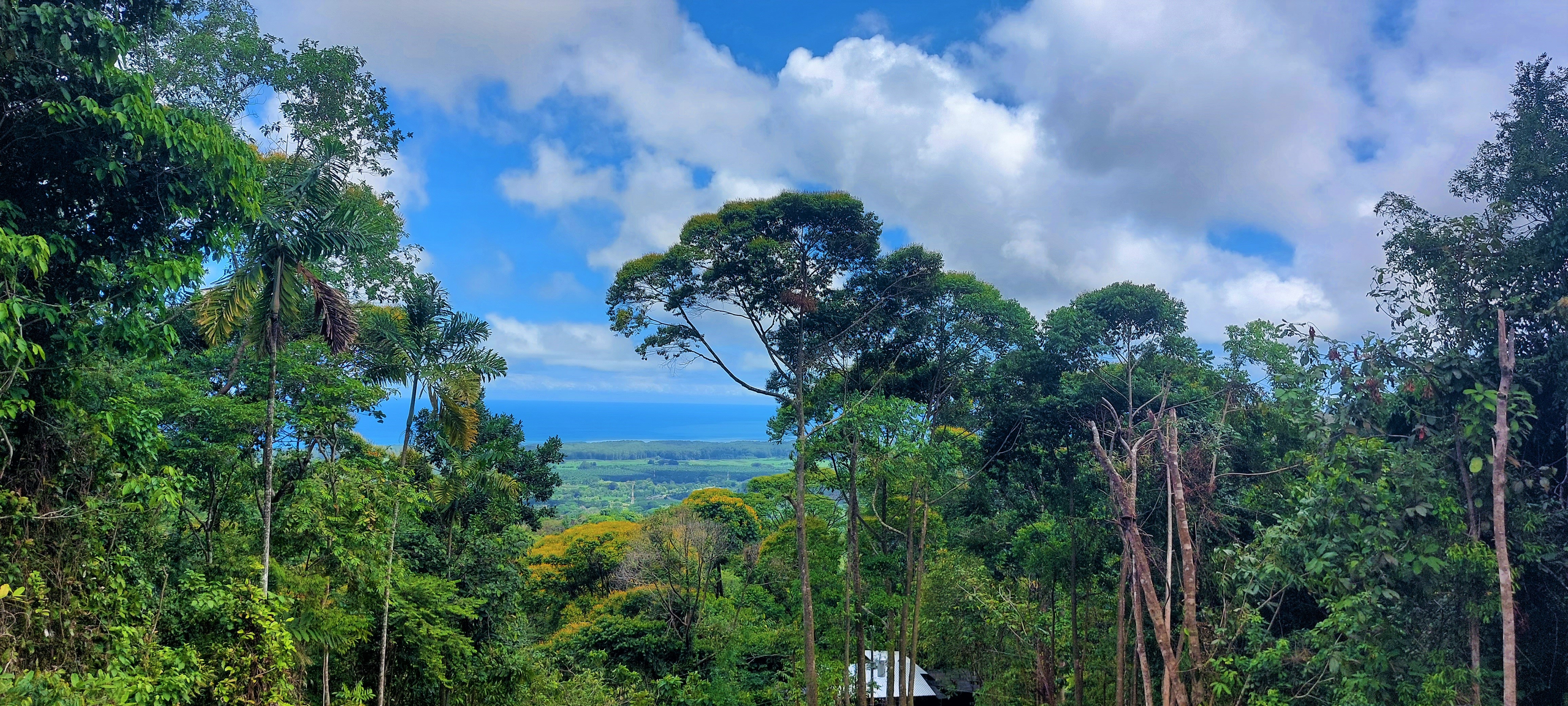 0 bed Land For Sale in Dominical, Puntarenas - thumb 5