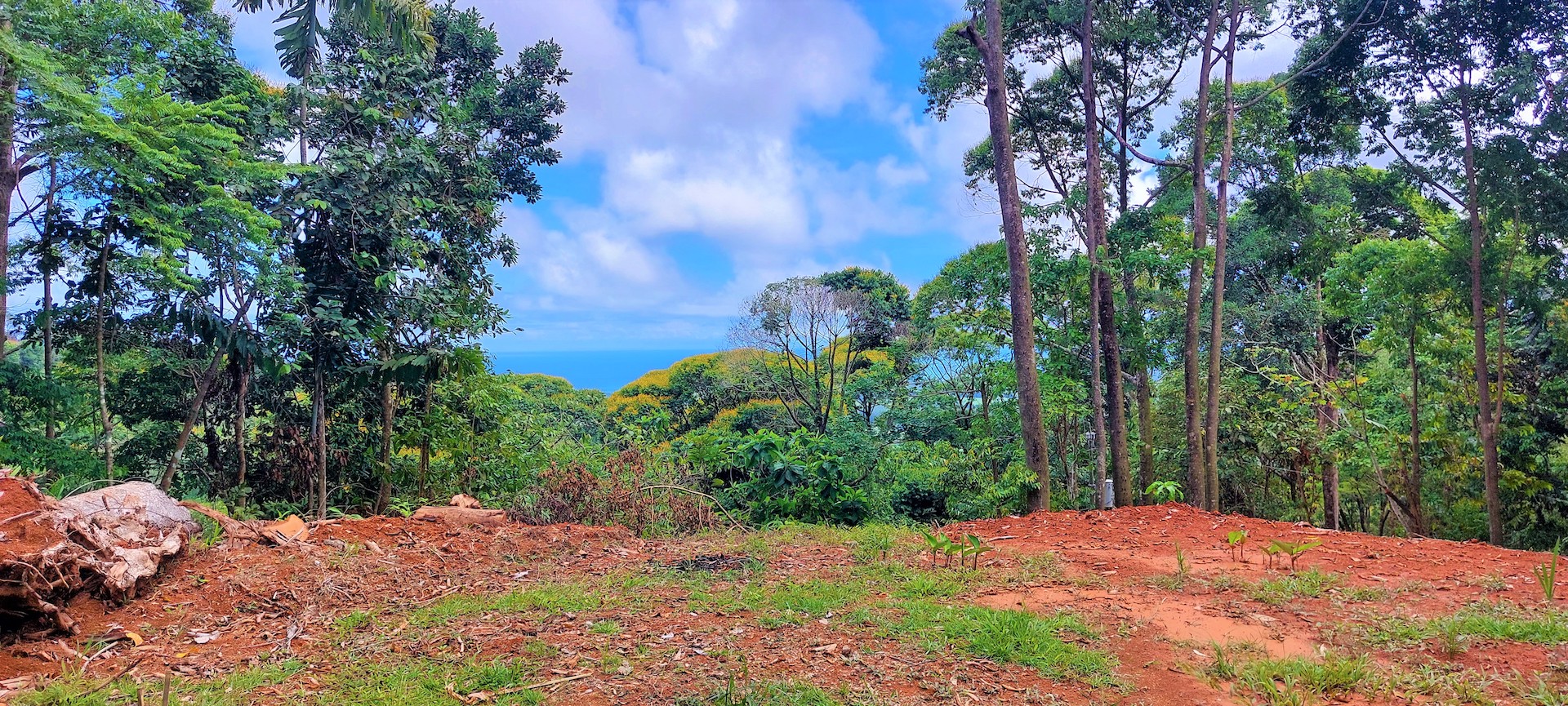 0 bed Land For Sale in Dominical, Puntarenas - thumb 7