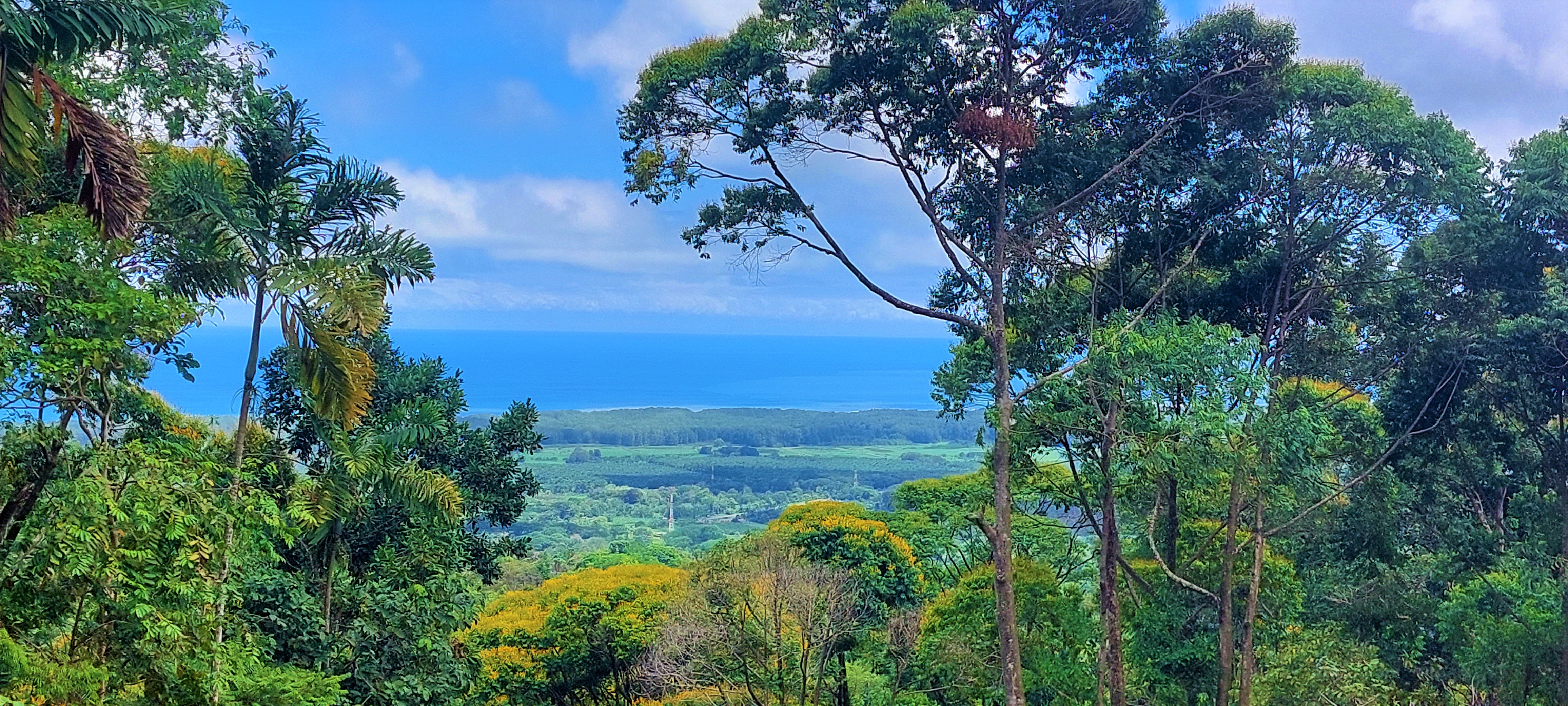 0 bed Land For Sale in Dominical, Puntarenas - thumb 2