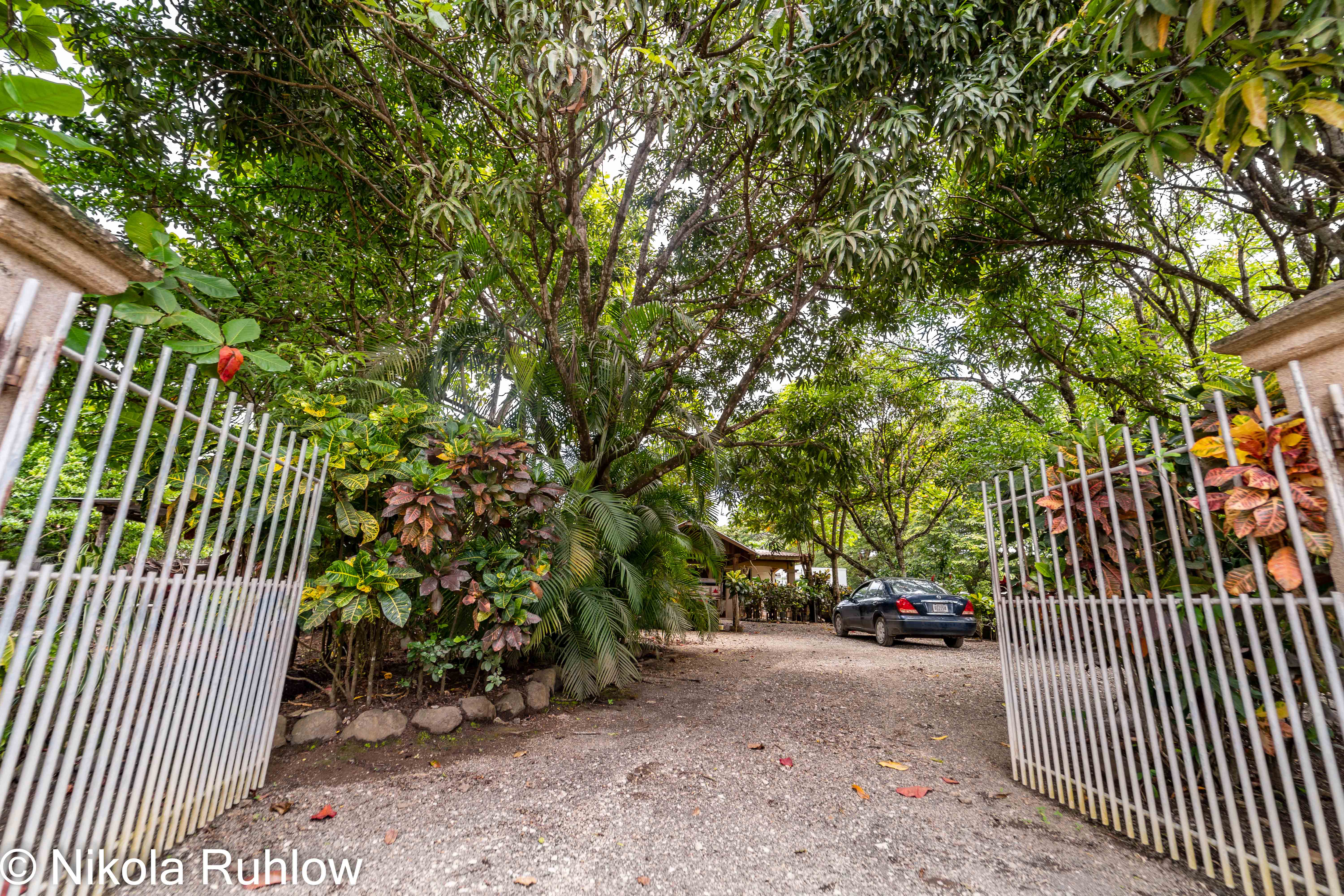 3 bed Single Family Homes For Sale in Samara, Guanacaste - thumb 6