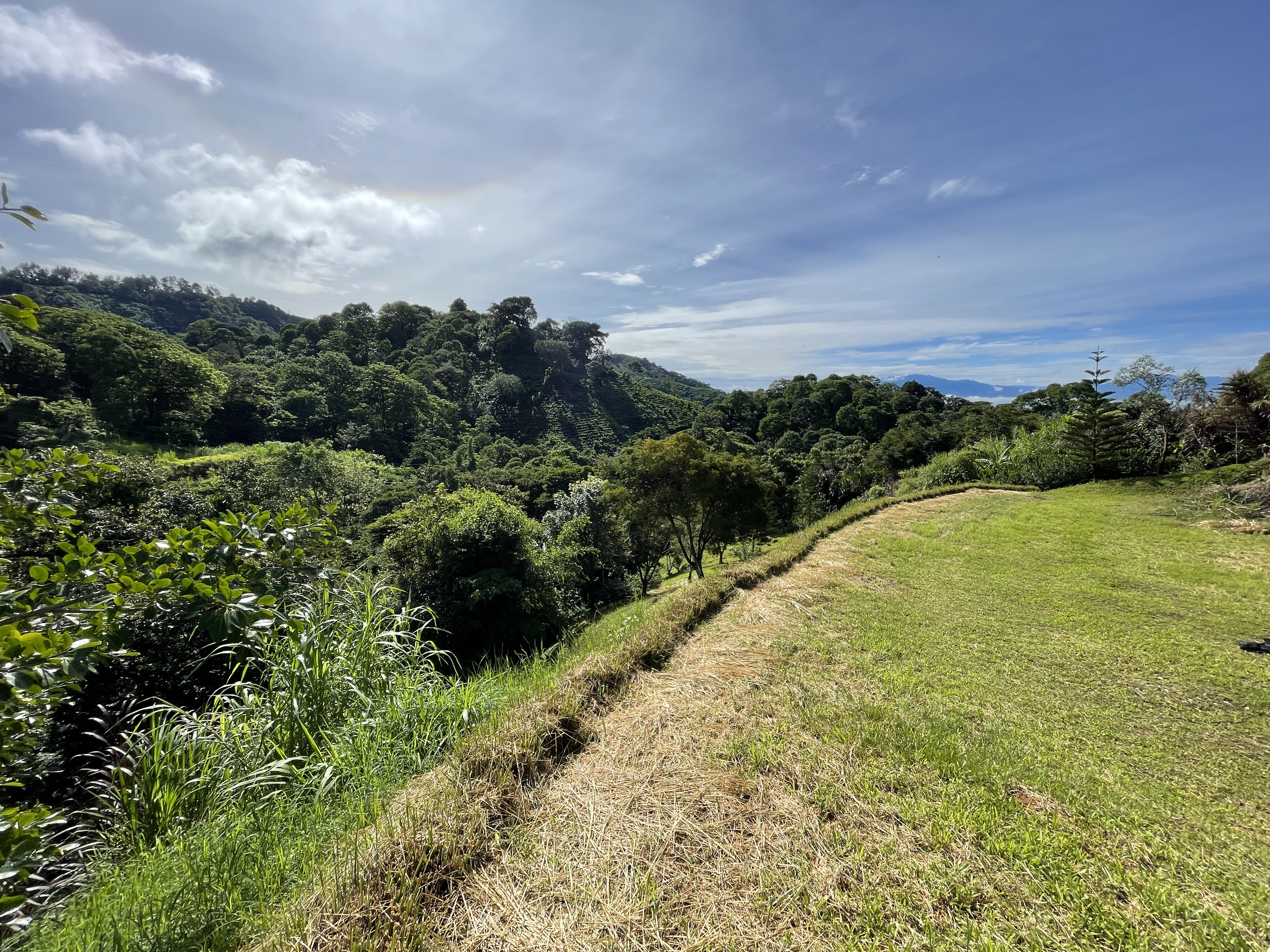 0 bed Land For Sale in Atenas, Alajuela - thumb 5