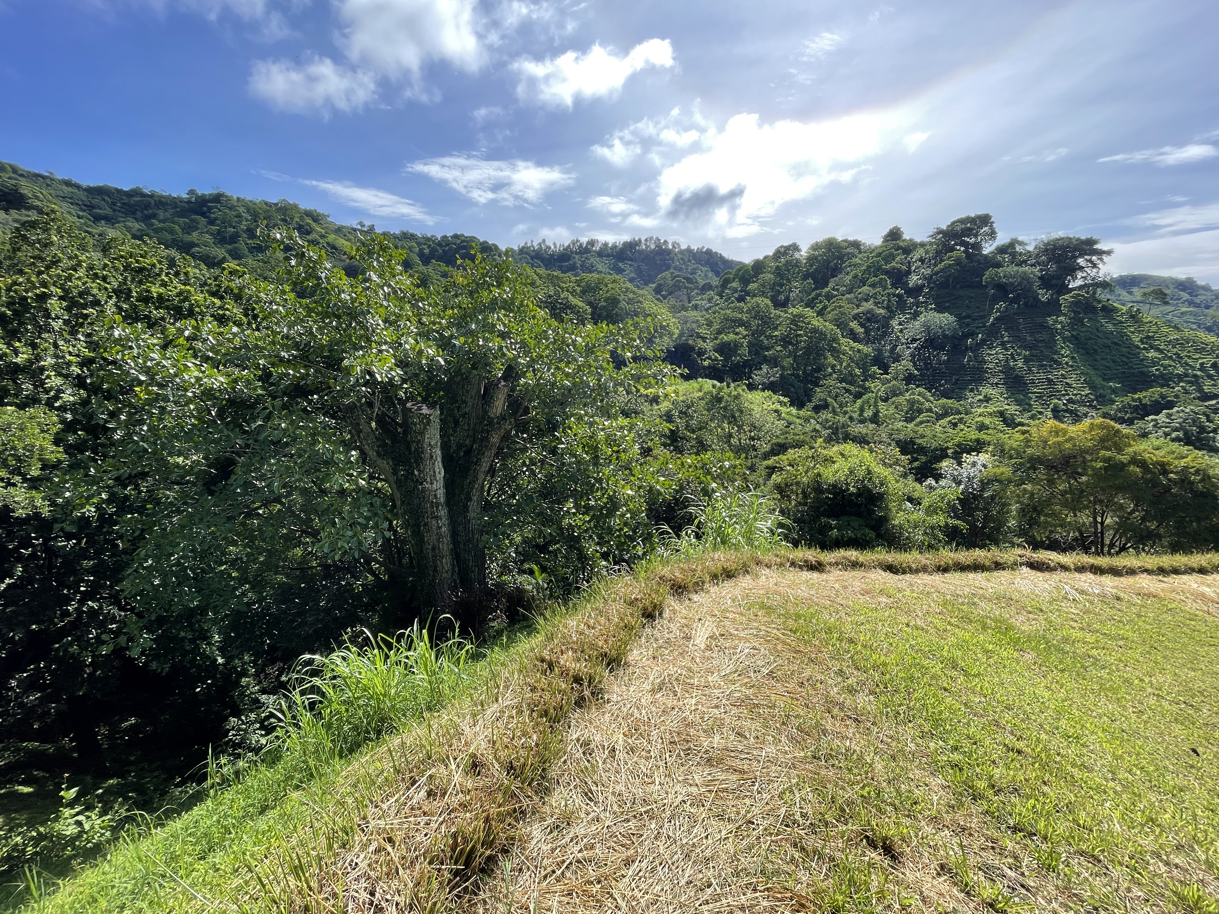 0 bed Land For Sale in Atenas, Alajuela - thumb 4