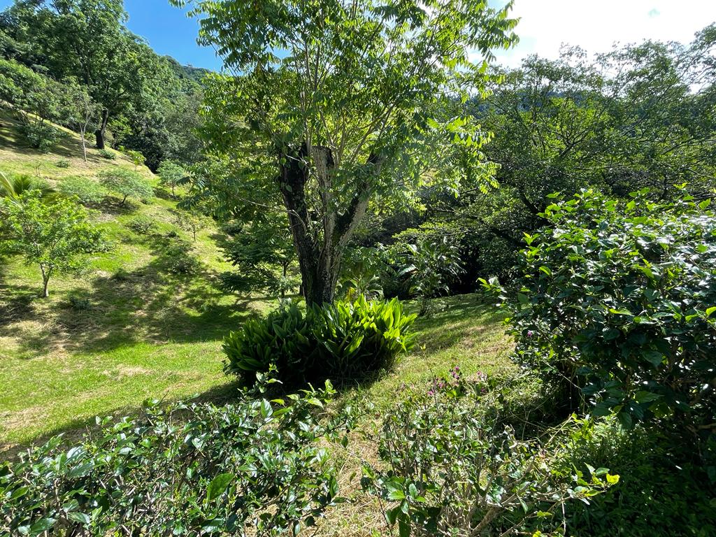 0 bed Land For Sale in Atenas, Alajuela - thumb 6