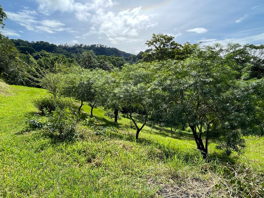 0 bed Land For Sale in Atenas, Alajuela - thumb 3