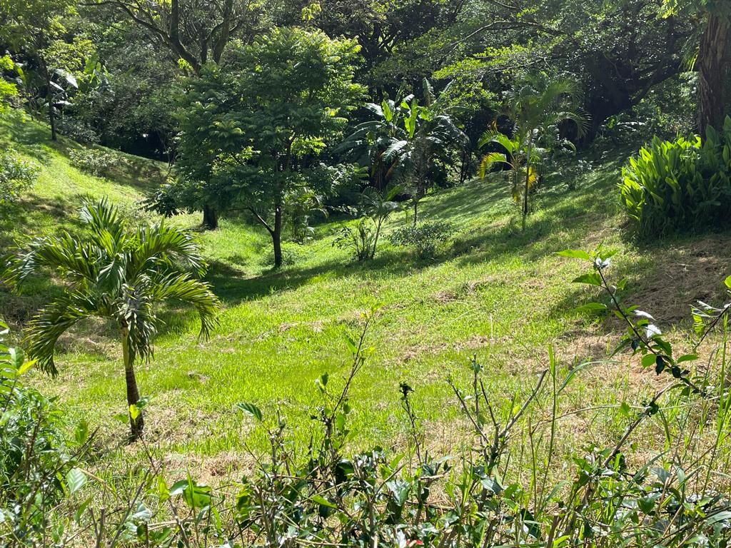 0 bed Land For Sale in Atenas, Alajuela - thumb 2