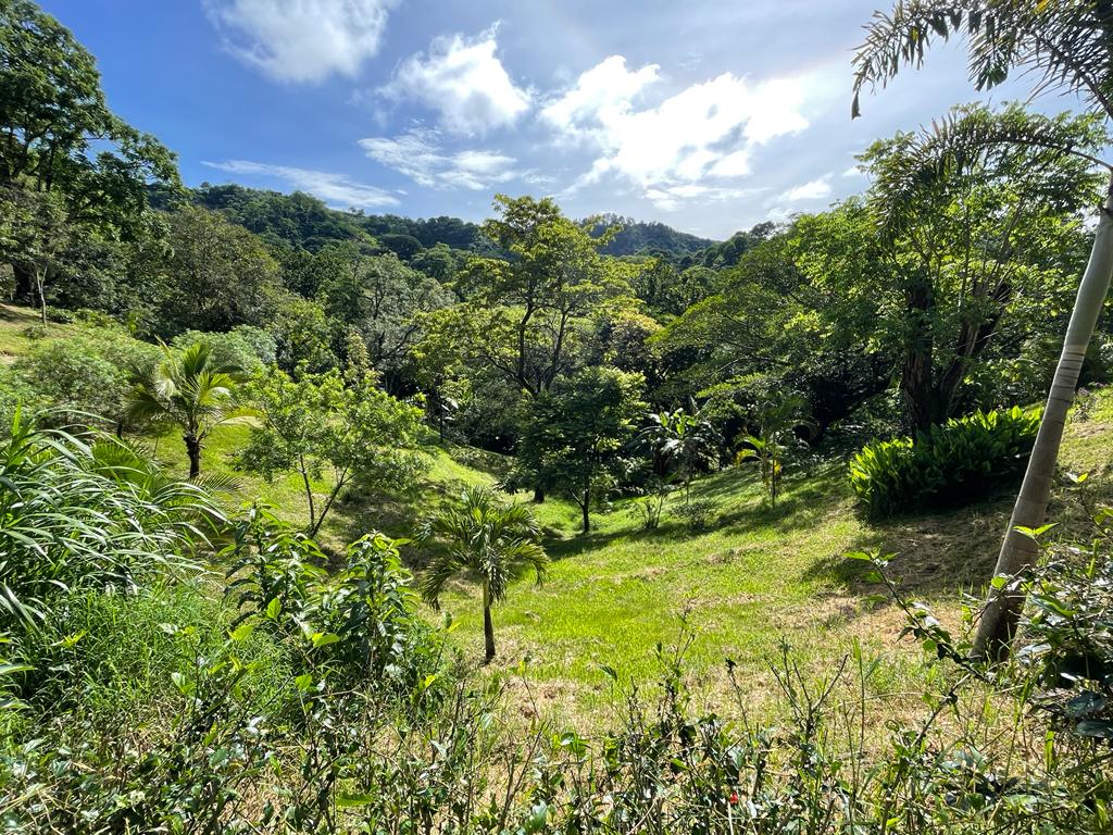 0 bed Land For Sale in Atenas, Alajuela - thumb 5