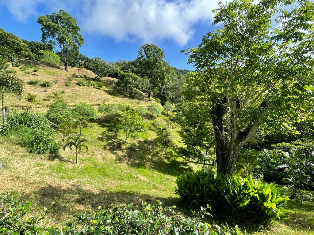 0 bed Land For Sale in Atenas, Alajuela - thumb 4