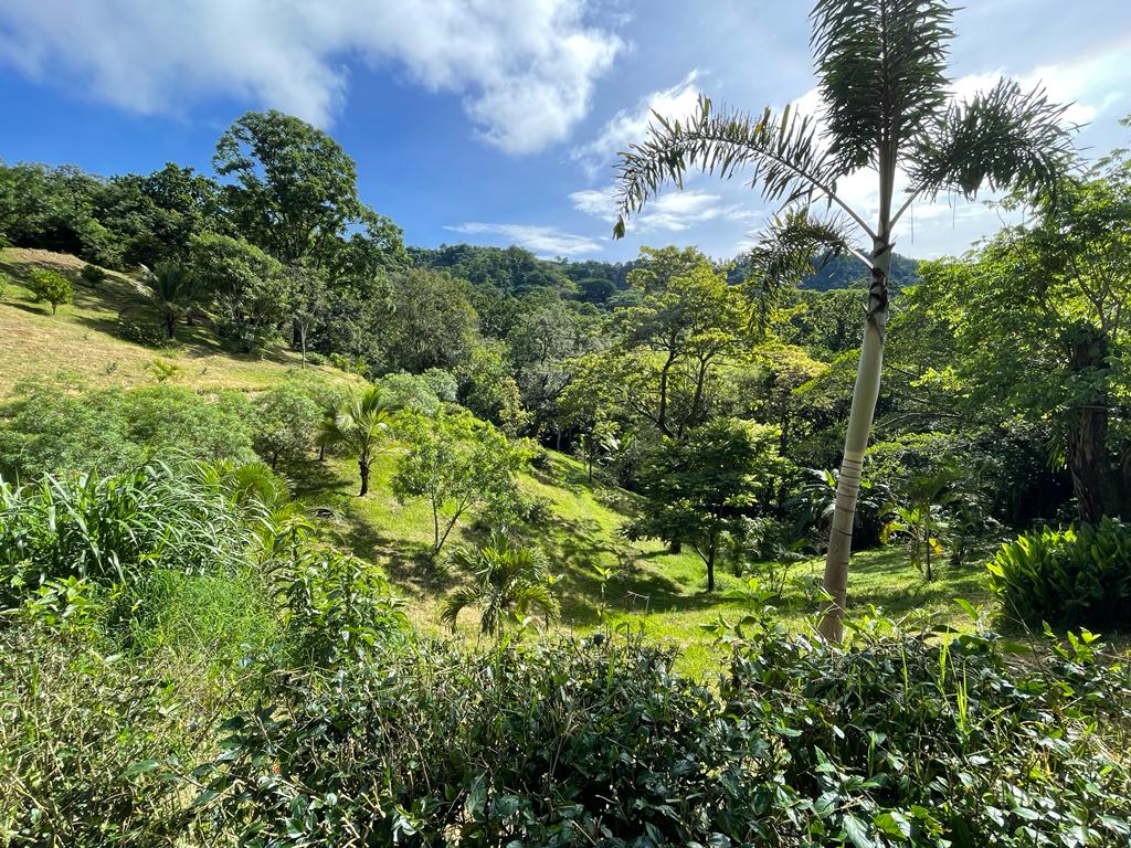 0 bed Land For Sale in Atenas, Alajuela - thumb 1