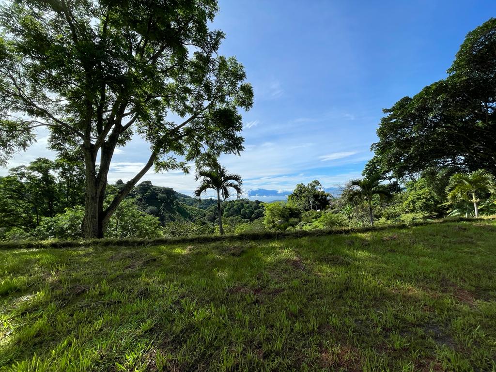 0 bed Land For Sale in Atenas, Alajuela - thumb 2