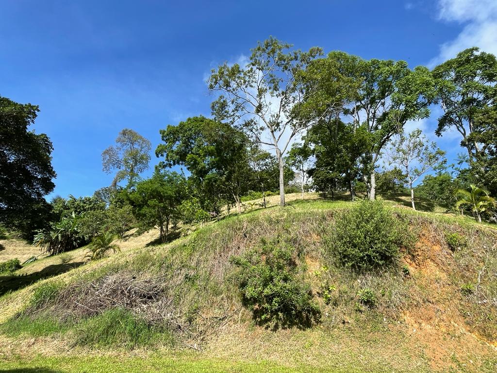 0 bed Land For Sale in Atenas, Alajuela - thumb 7