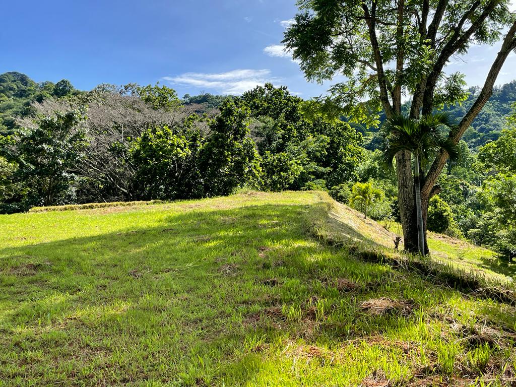 0 bed Land For Sale in Atenas, Alajuela - thumb 3
