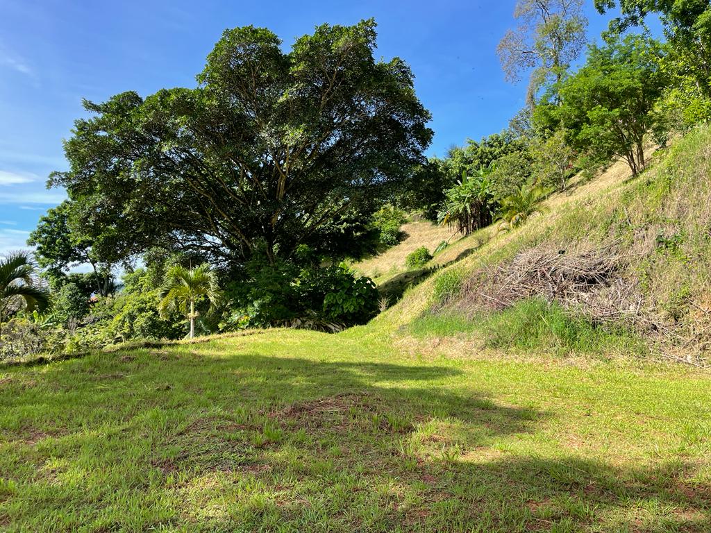 0 bed Land For Sale in Atenas, Alajuela - thumb 6