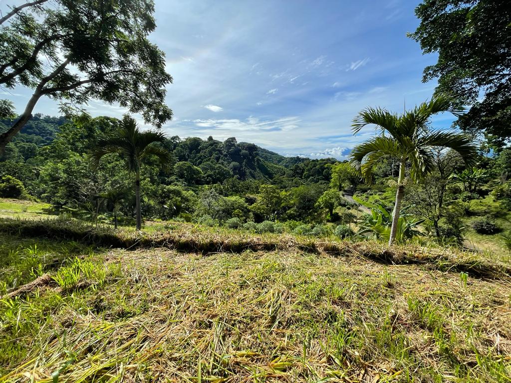 0 bed Land For Sale in Atenas, Alajuela - thumb 4