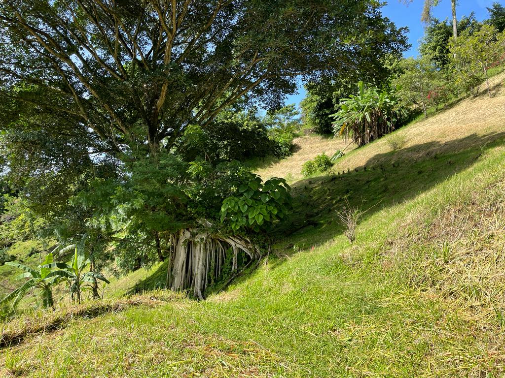 0 bed Land For Sale in Atenas, Alajuela - thumb 5