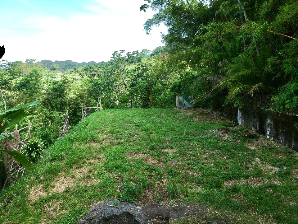 0 bed Land For Sale in Santa Teresa, Puntarenas - thumb 4