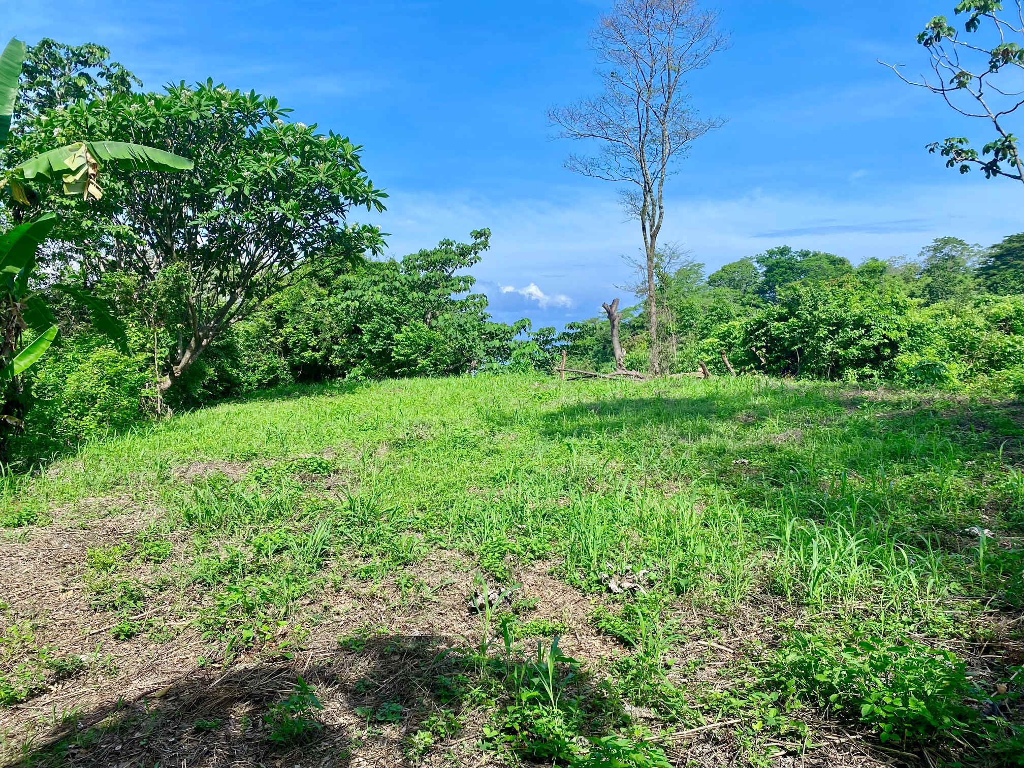 0 bed Land For Sale in Santa Teresa, Puntarenas - thumb 3