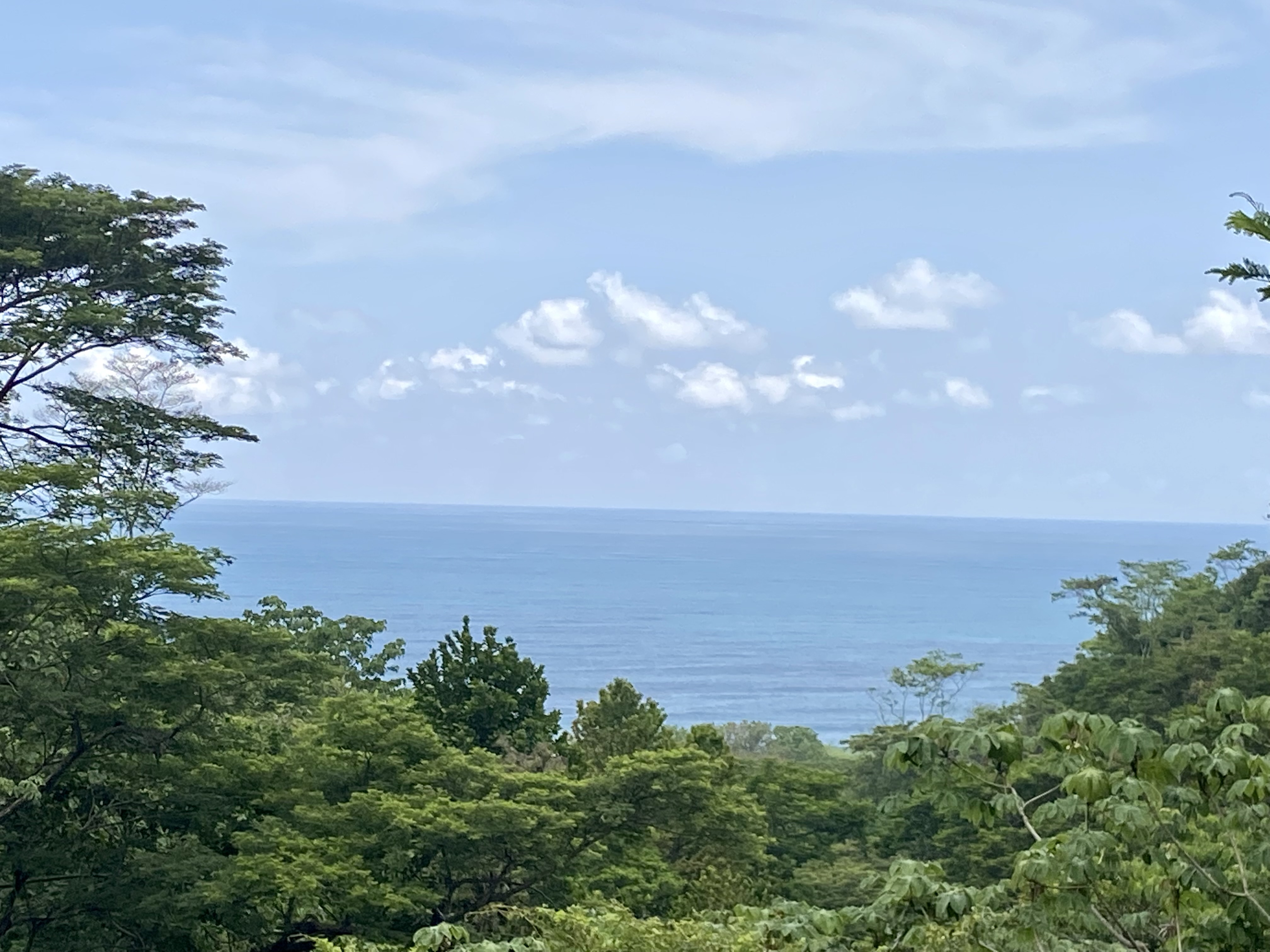 0 bed Land For Sale in Santa Teresa, Puntarenas - thumb 5