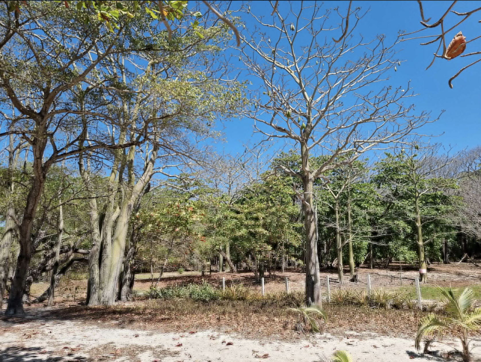 0 bed Land For Sale in Santa Teresa, Puntarenas - thumb 6