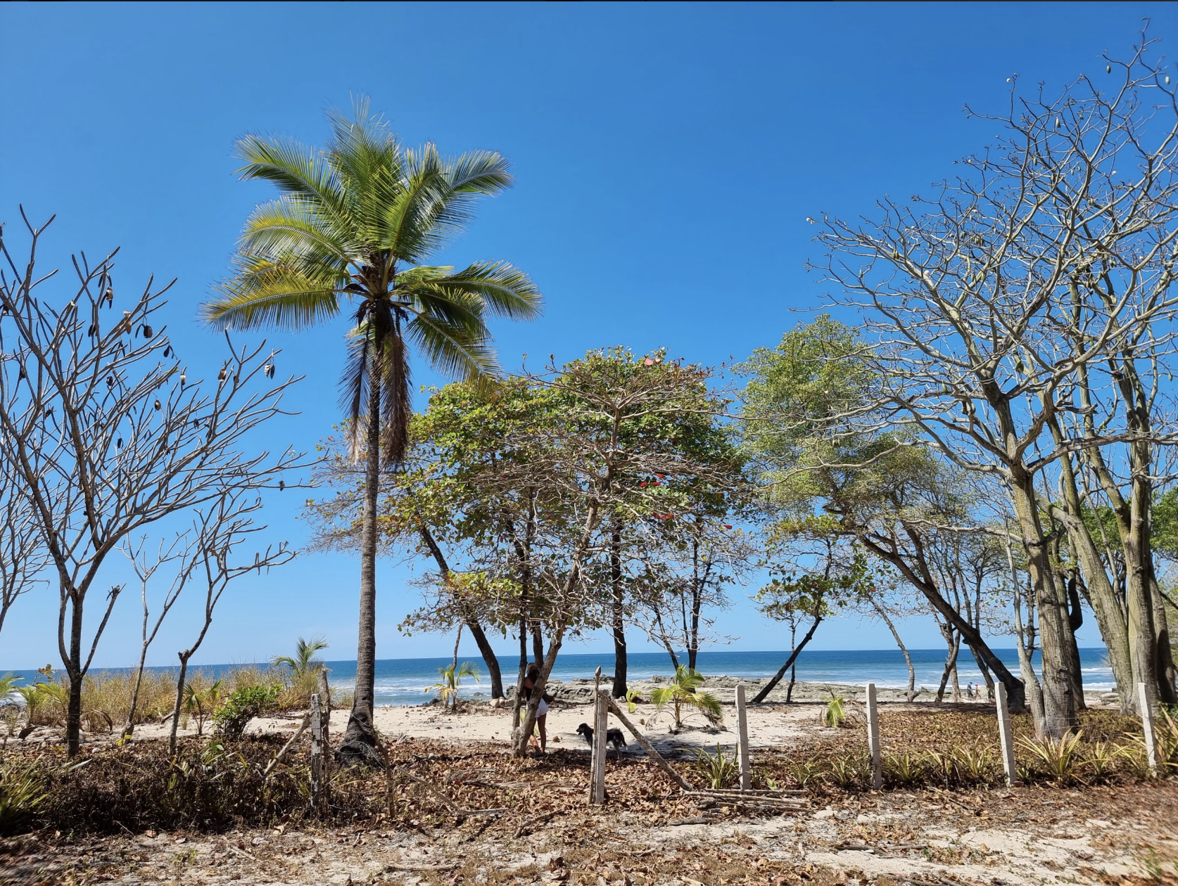 0 bed Land For Sale in Santa Teresa, Puntarenas - thumb 2