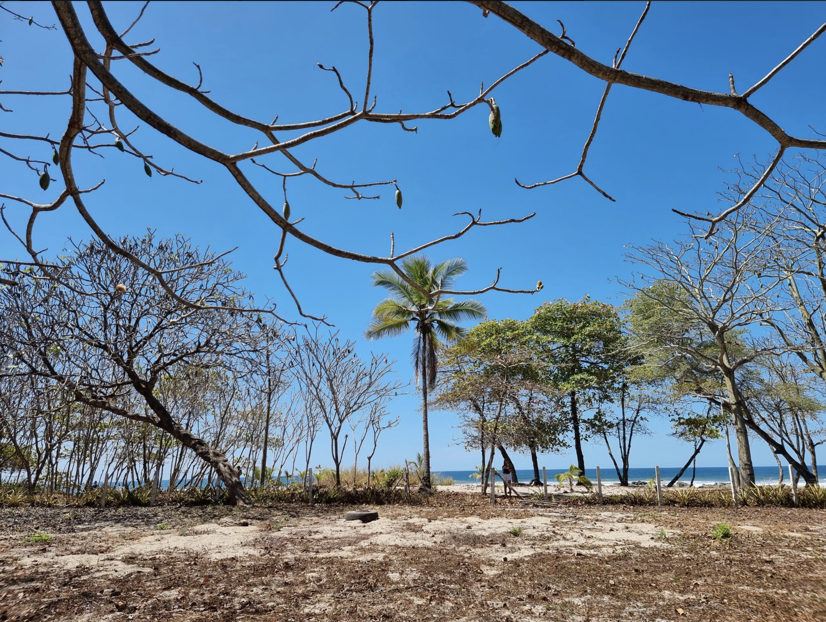 0 bed Land For Sale in Santa Teresa, Puntarenas - thumb 1