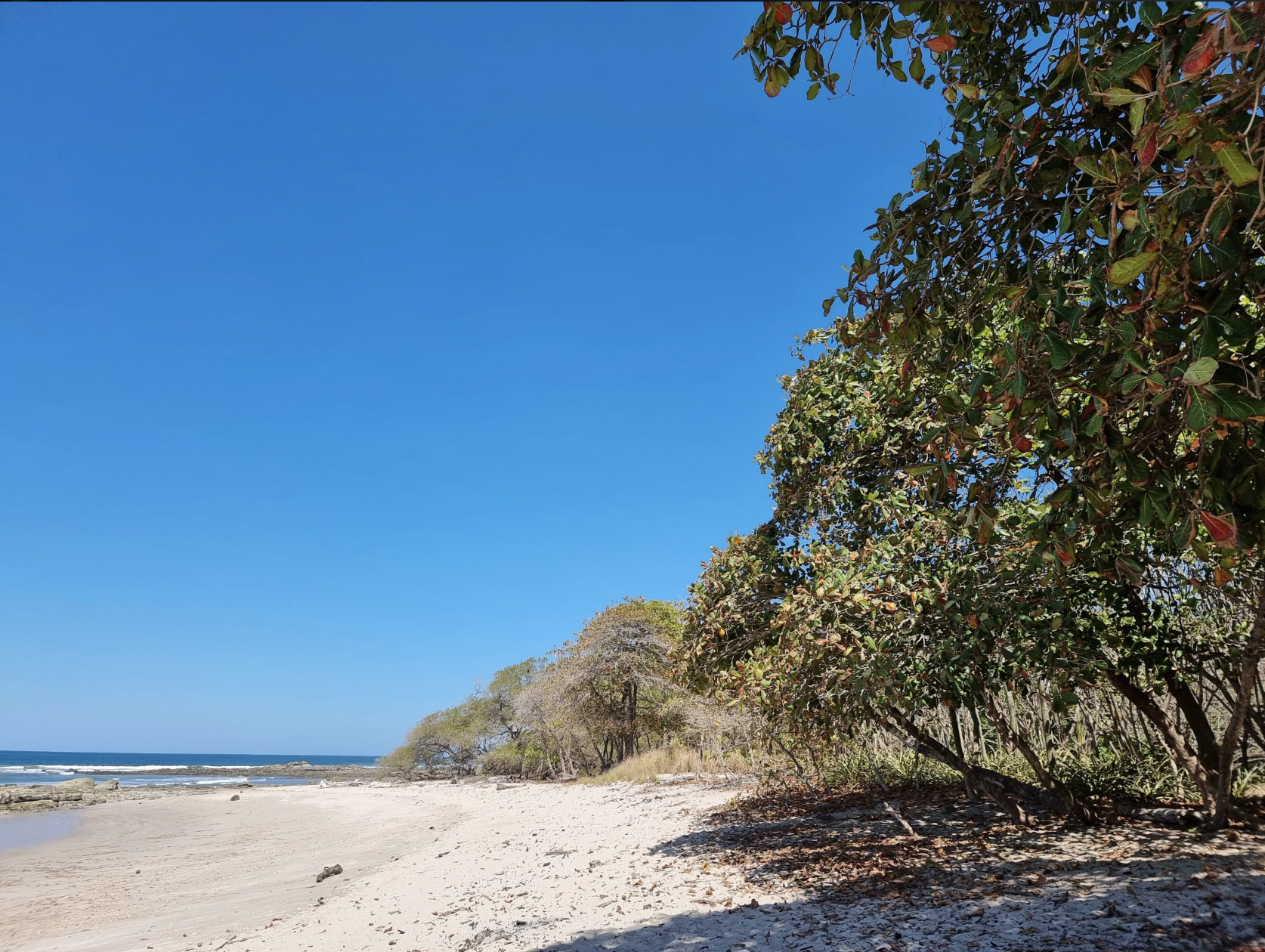 0 bed Land For Sale in Santa Teresa, Puntarenas - thumb 3