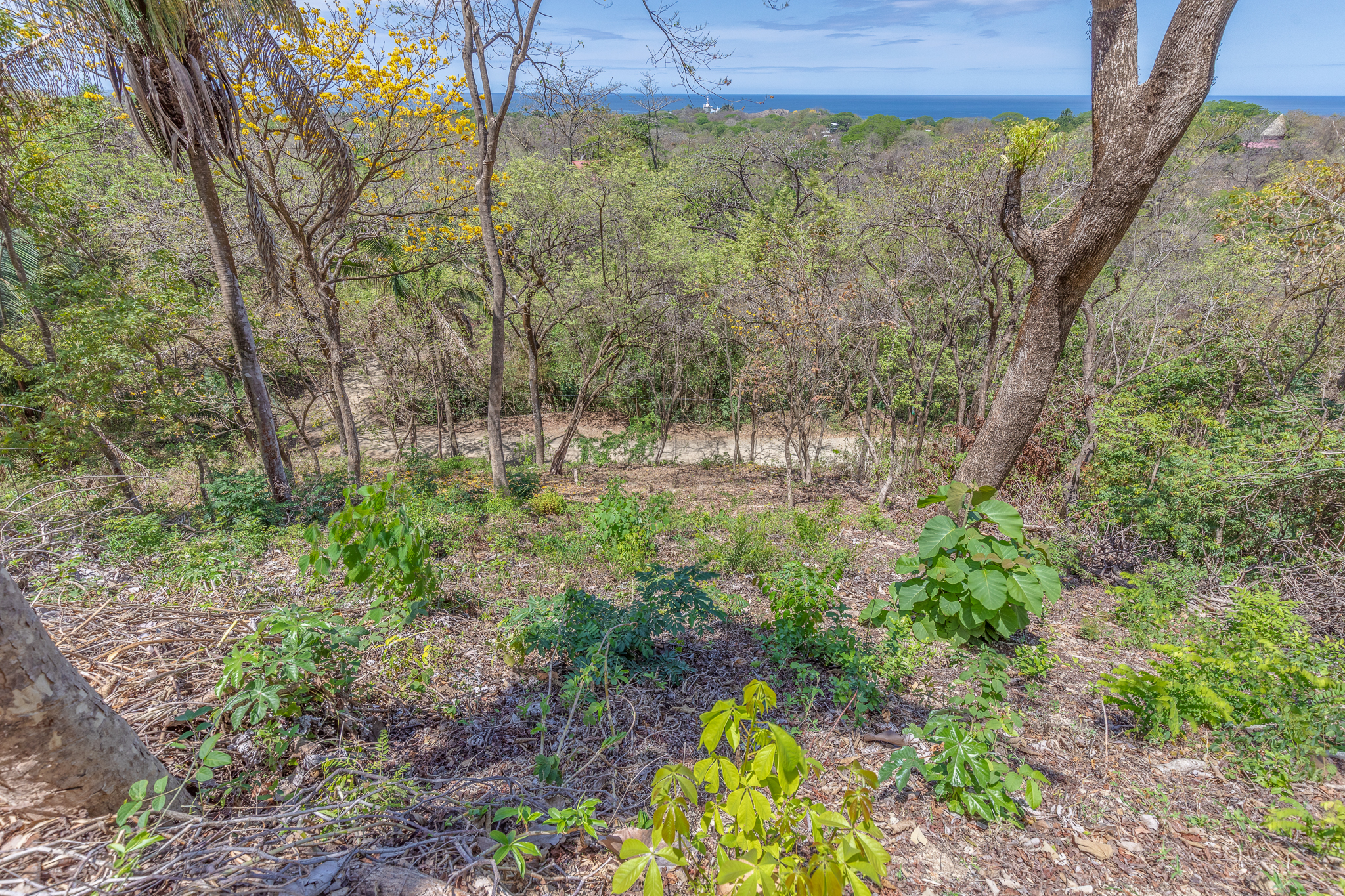 0 bed Land For Sale in Nosara, Guanacaste - thumb 8