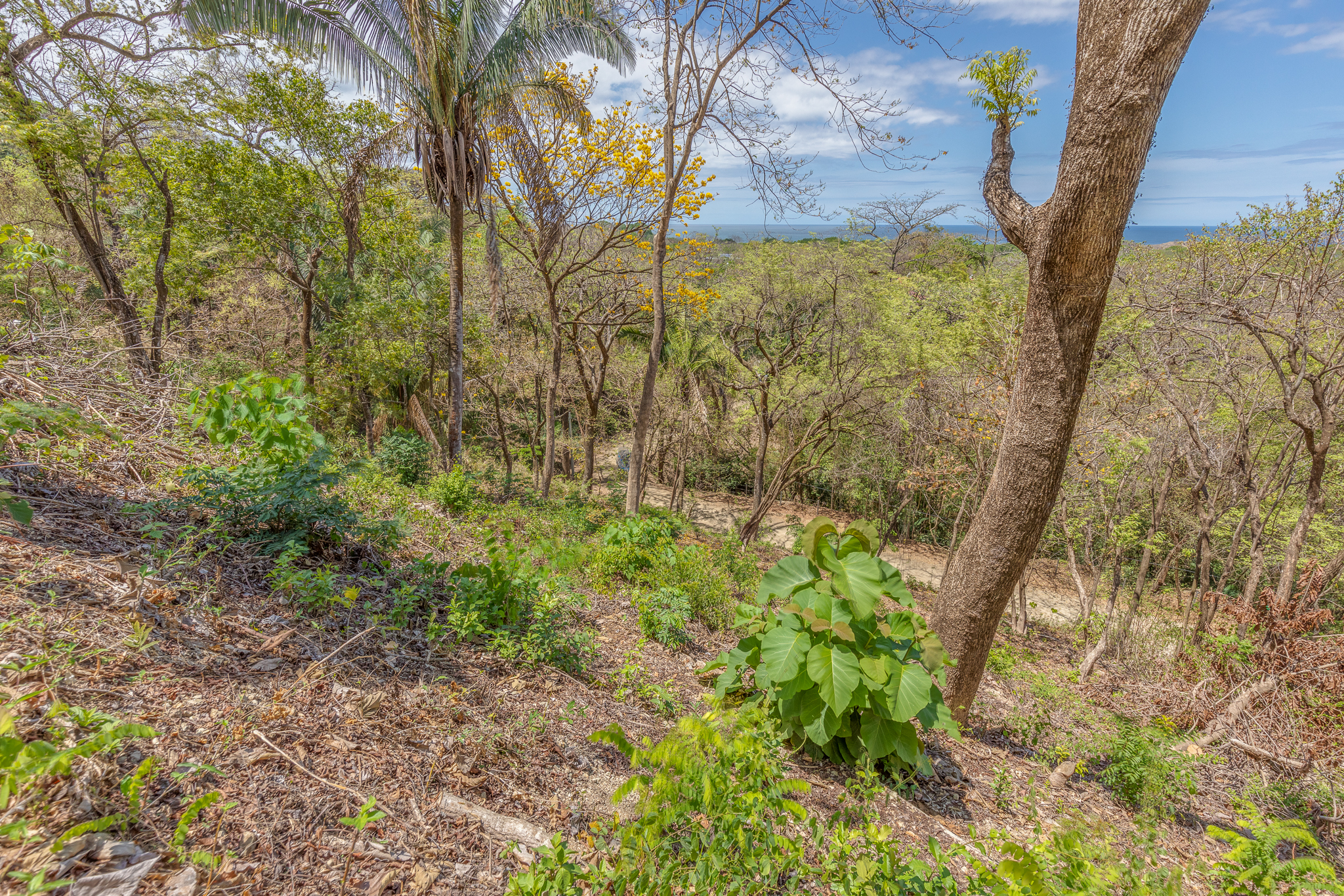 0 bed Land For Sale in Nosara, Guanacaste - thumb 7