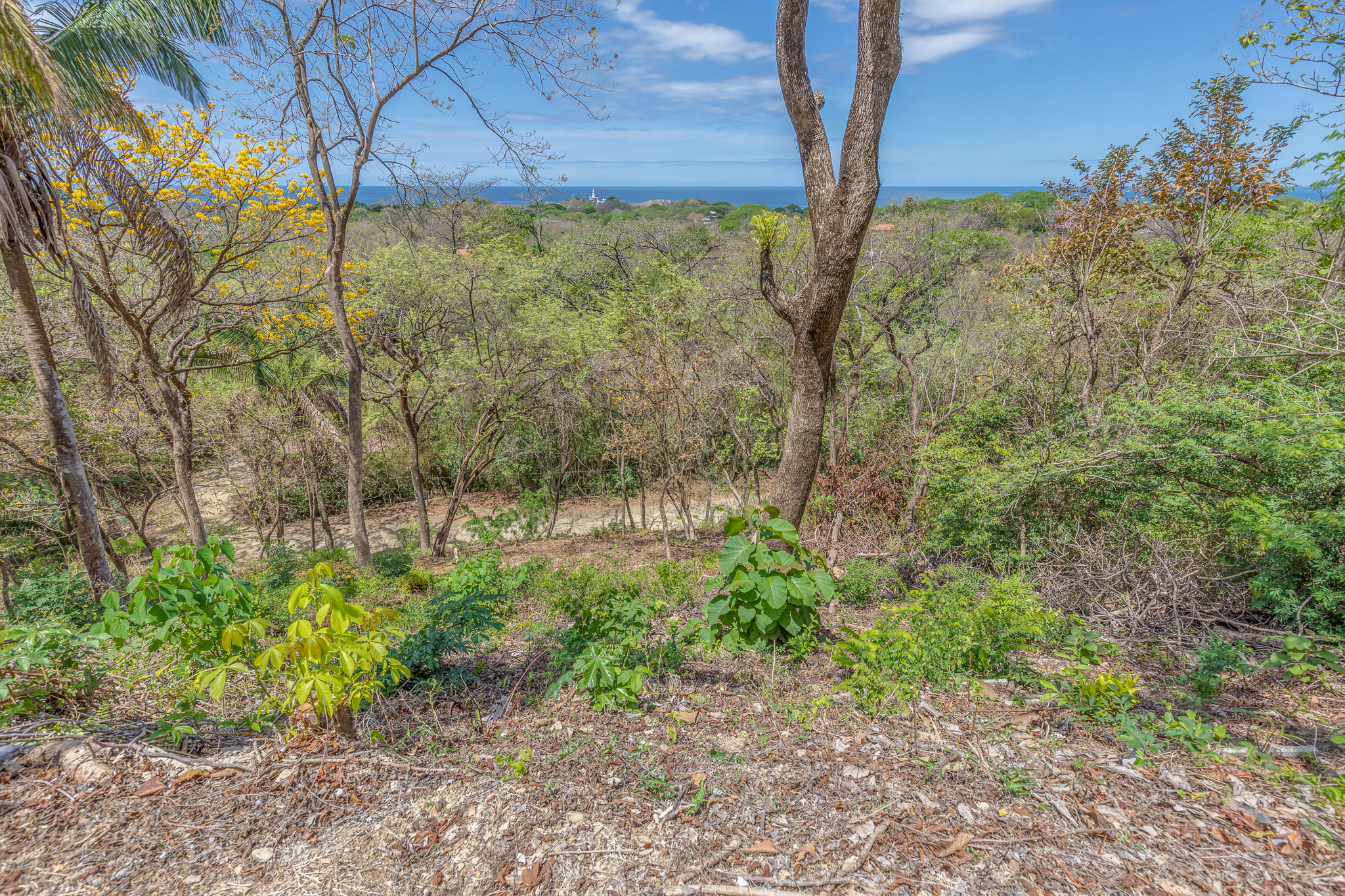 0 bed Land For Sale in Nosara, Guanacaste - thumb 3