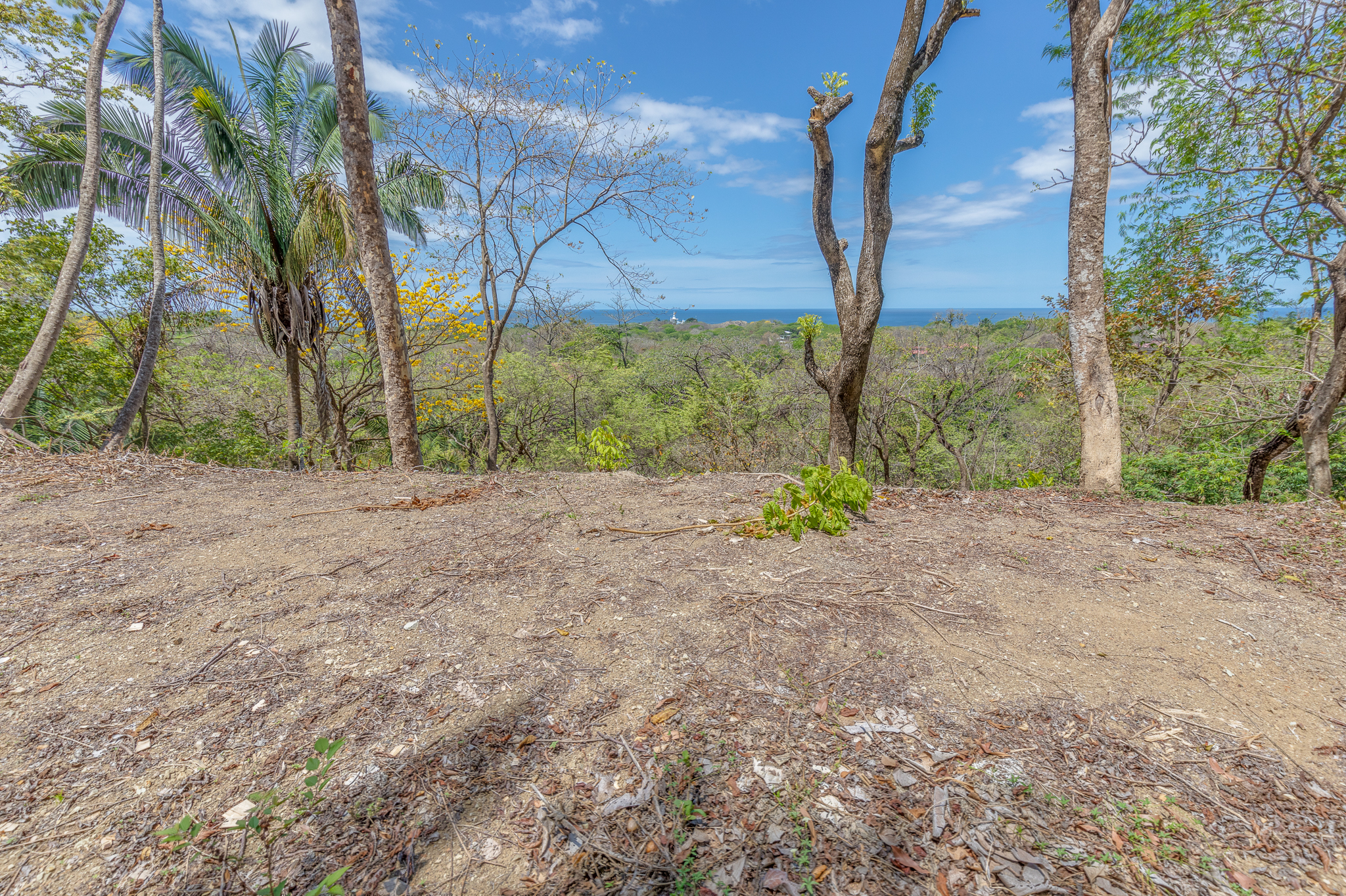 0 bed Land For Sale in Nosara, Guanacaste - thumb 4