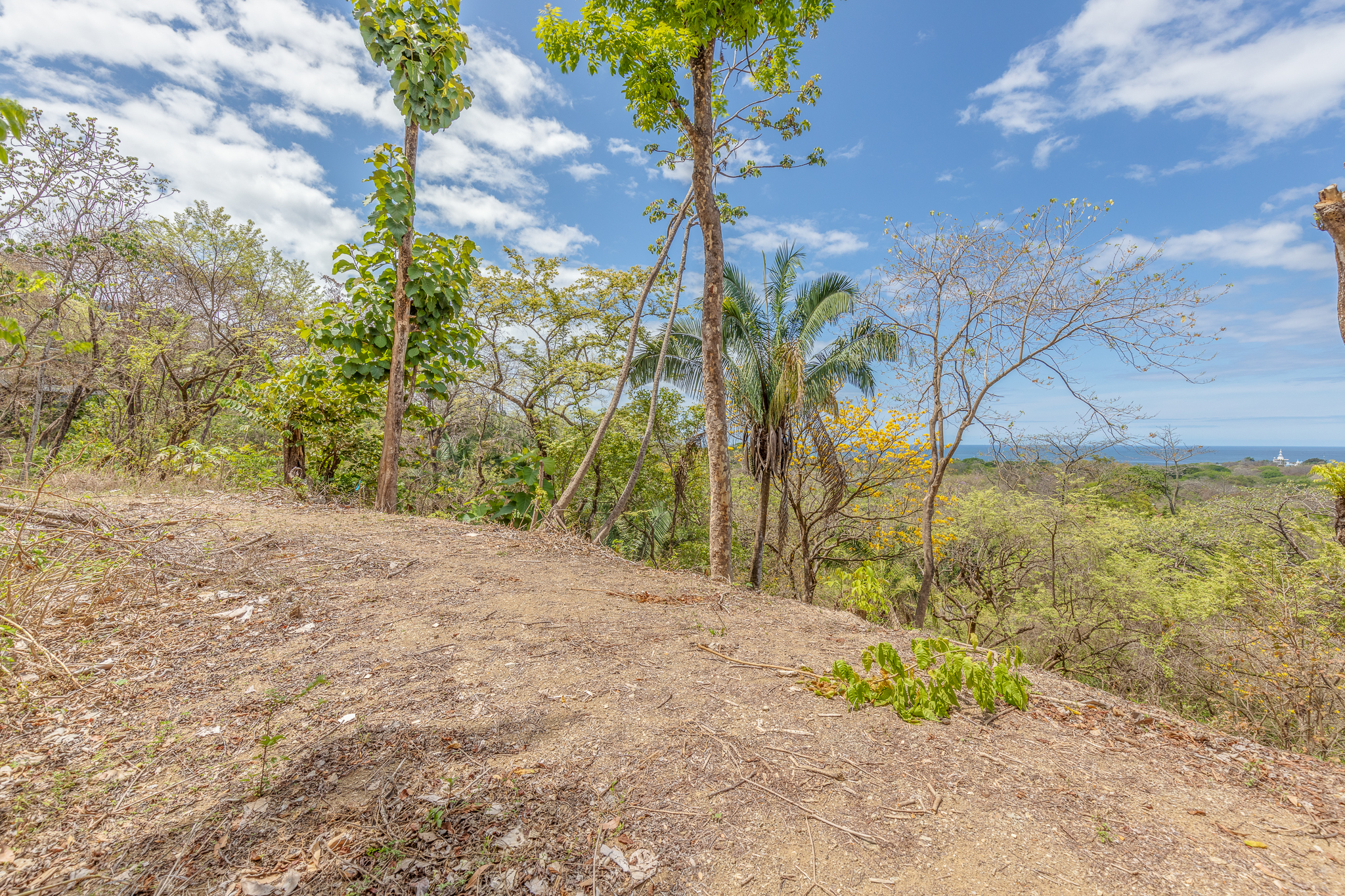 0 bed Land For Sale in Nosara, Guanacaste - thumb 2