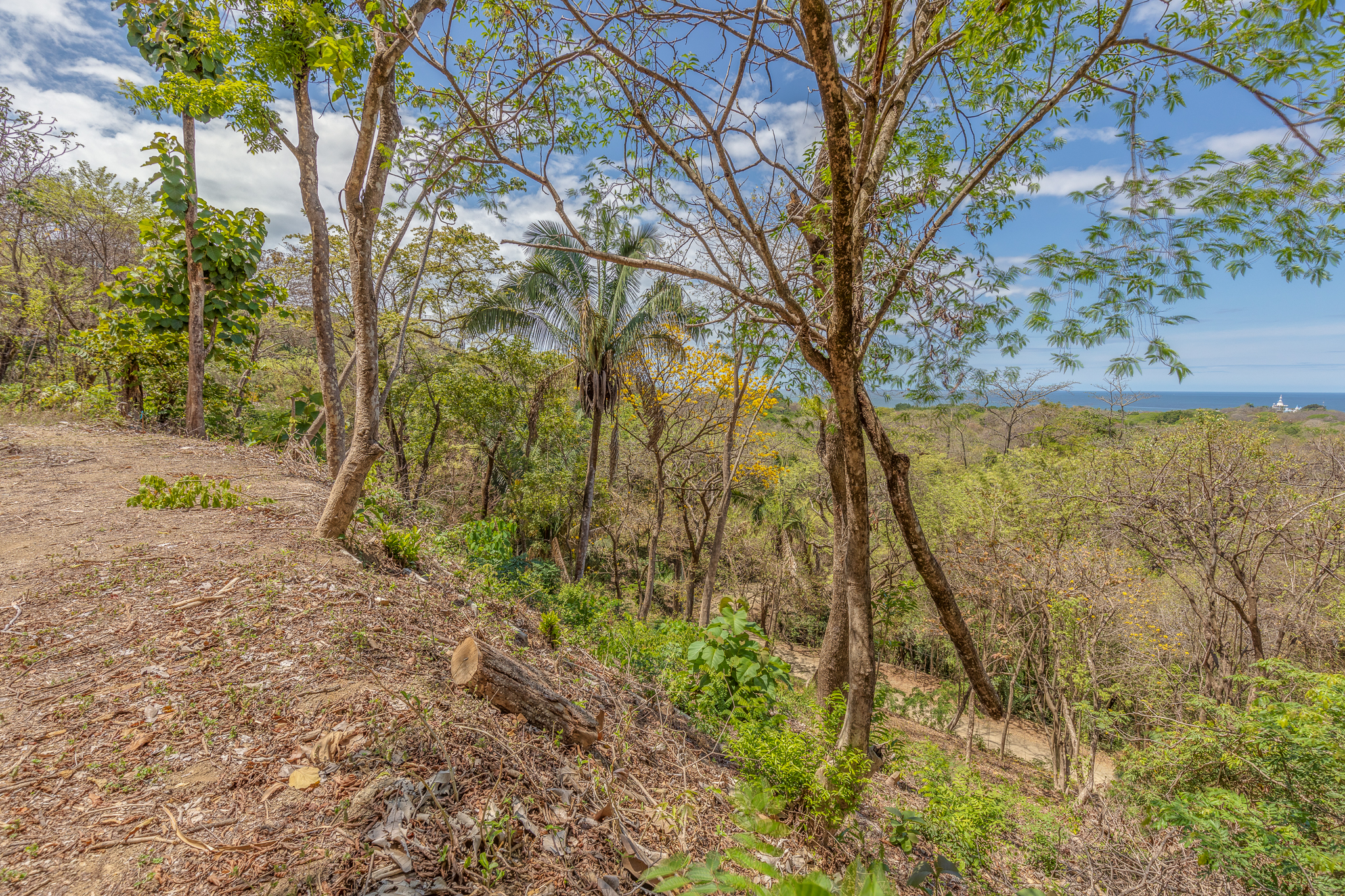 0 bed Land For Sale in Nosara, Guanacaste - thumb 5