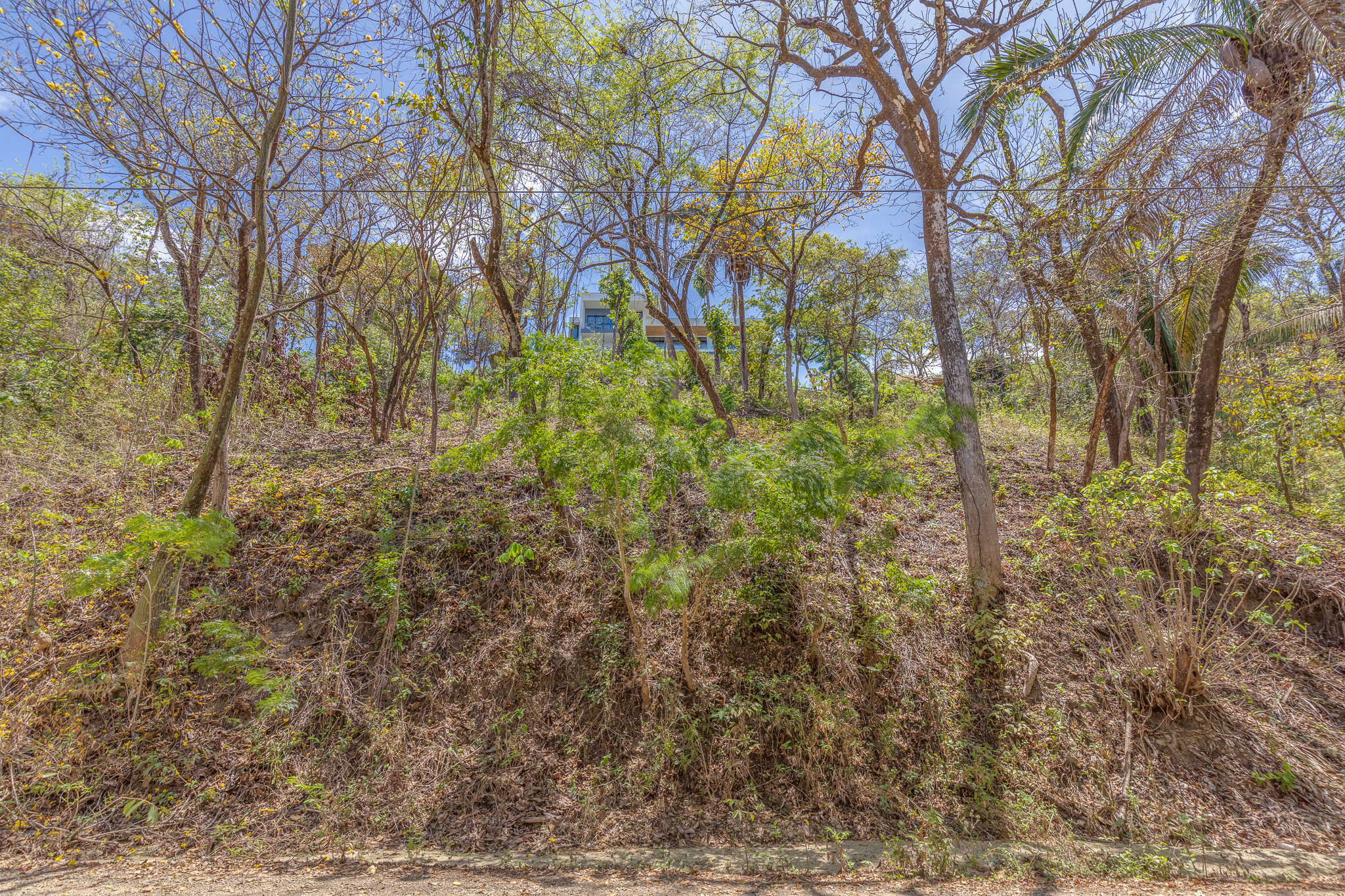 0 bed Land For Sale in Nosara, Guanacaste - thumb 9
