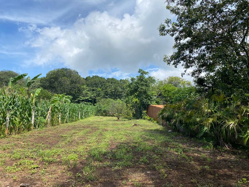 0 bed Land For Sale in Atenas, Alajuela - 1