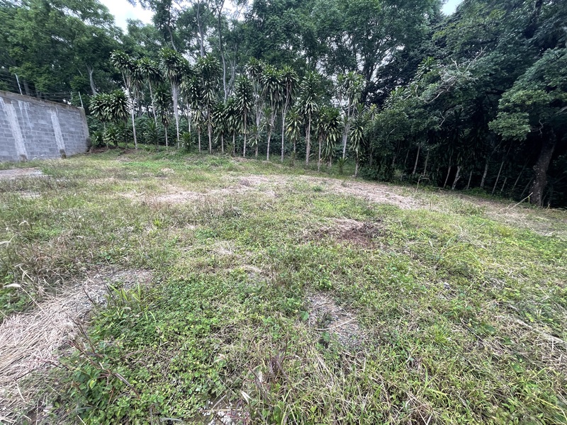 0 bed Land For Sale in Alajuela, Alajuela - 1