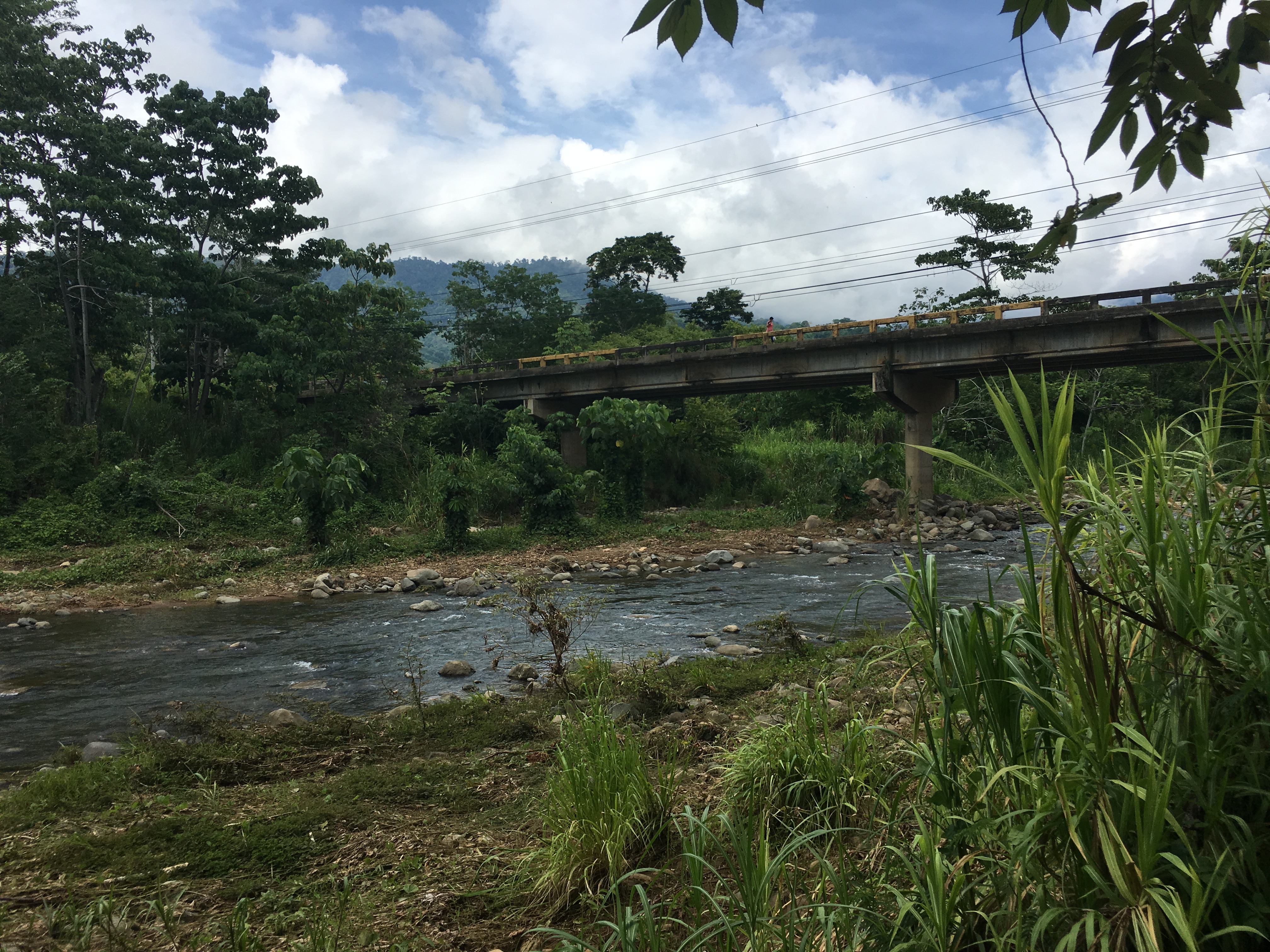 0 bed Land For Sale in Uvita, Puntarenas - thumb 5