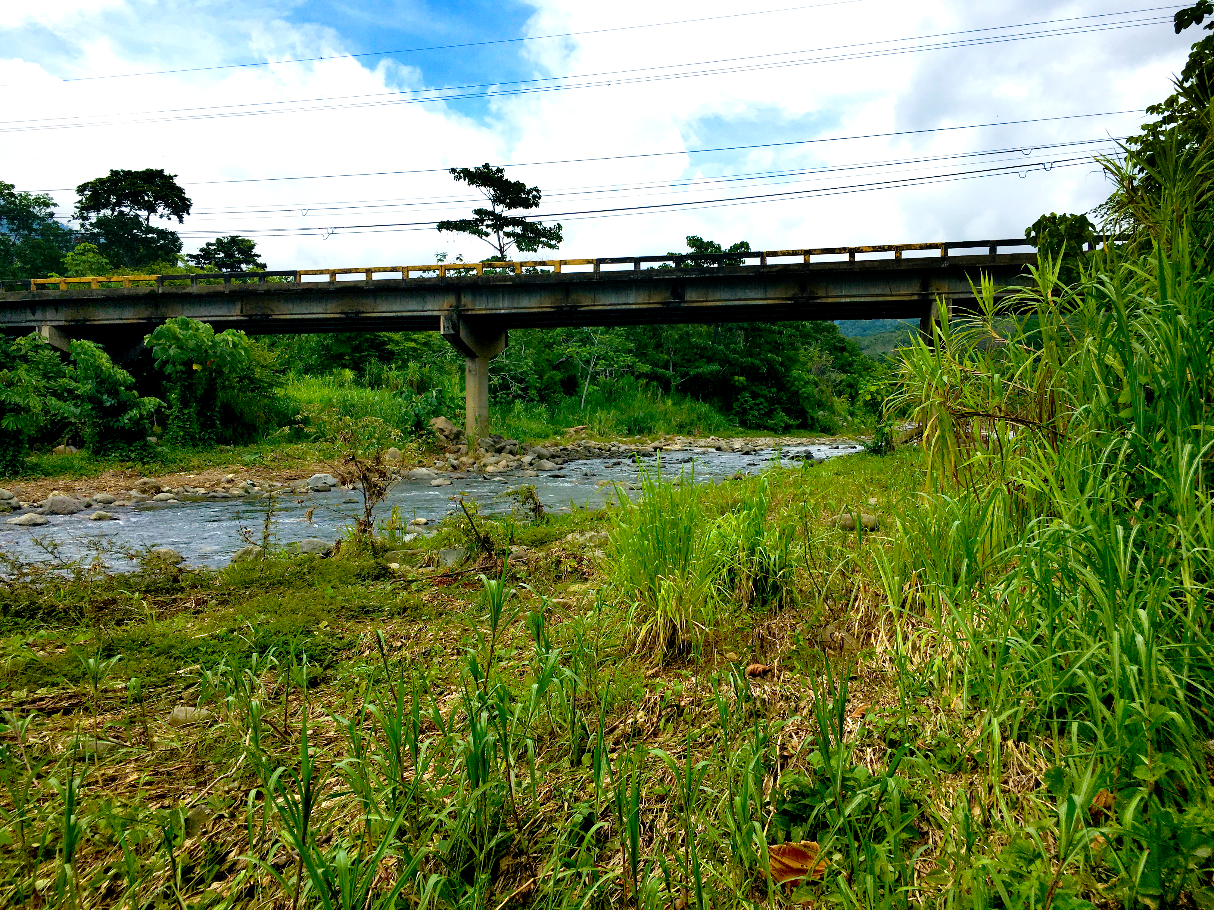 0 bed Land For Sale in Uvita, Puntarenas - thumb 6